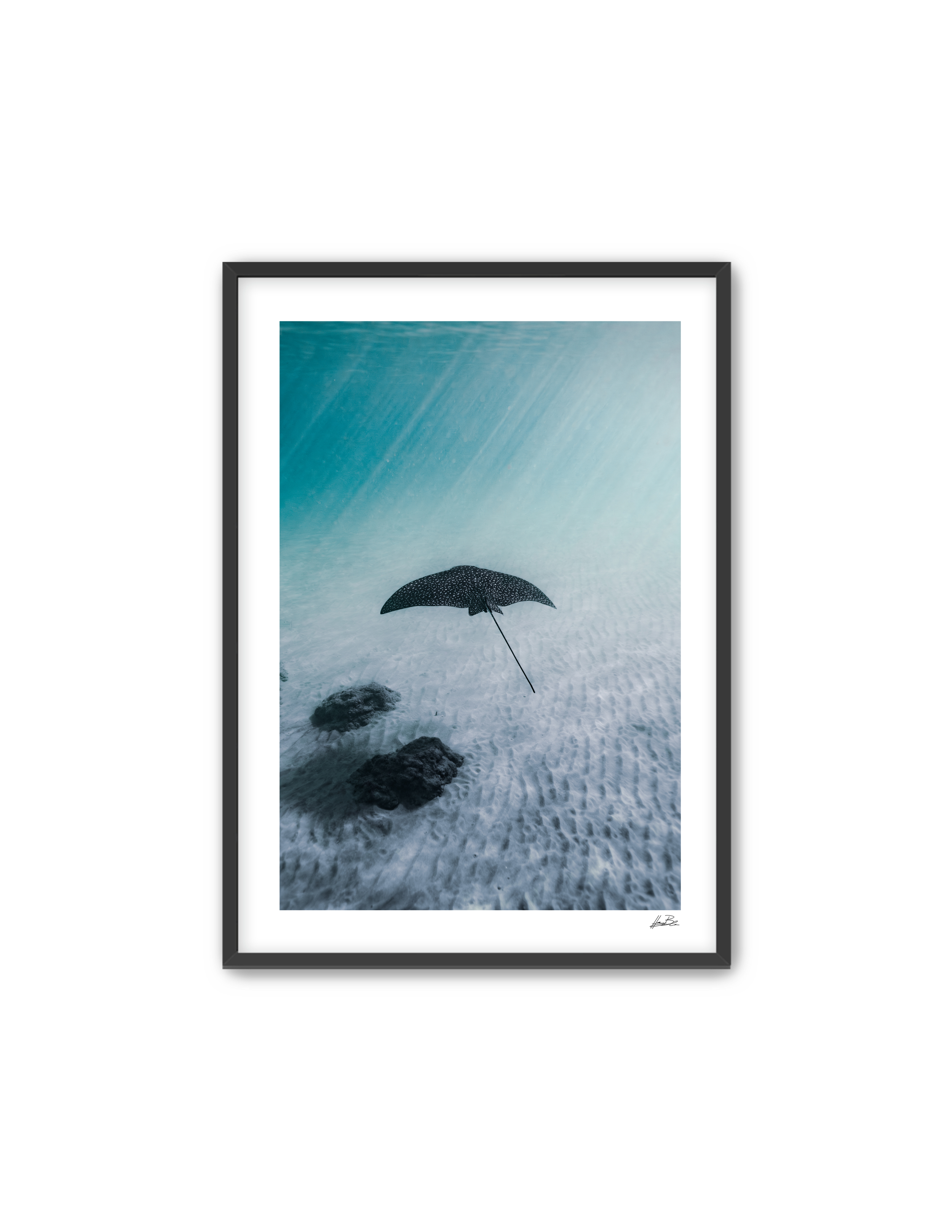 "Flying Solo #3"