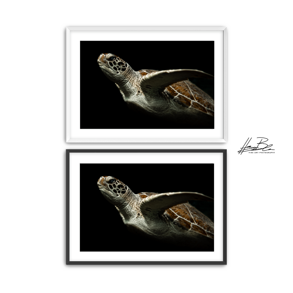 33.png