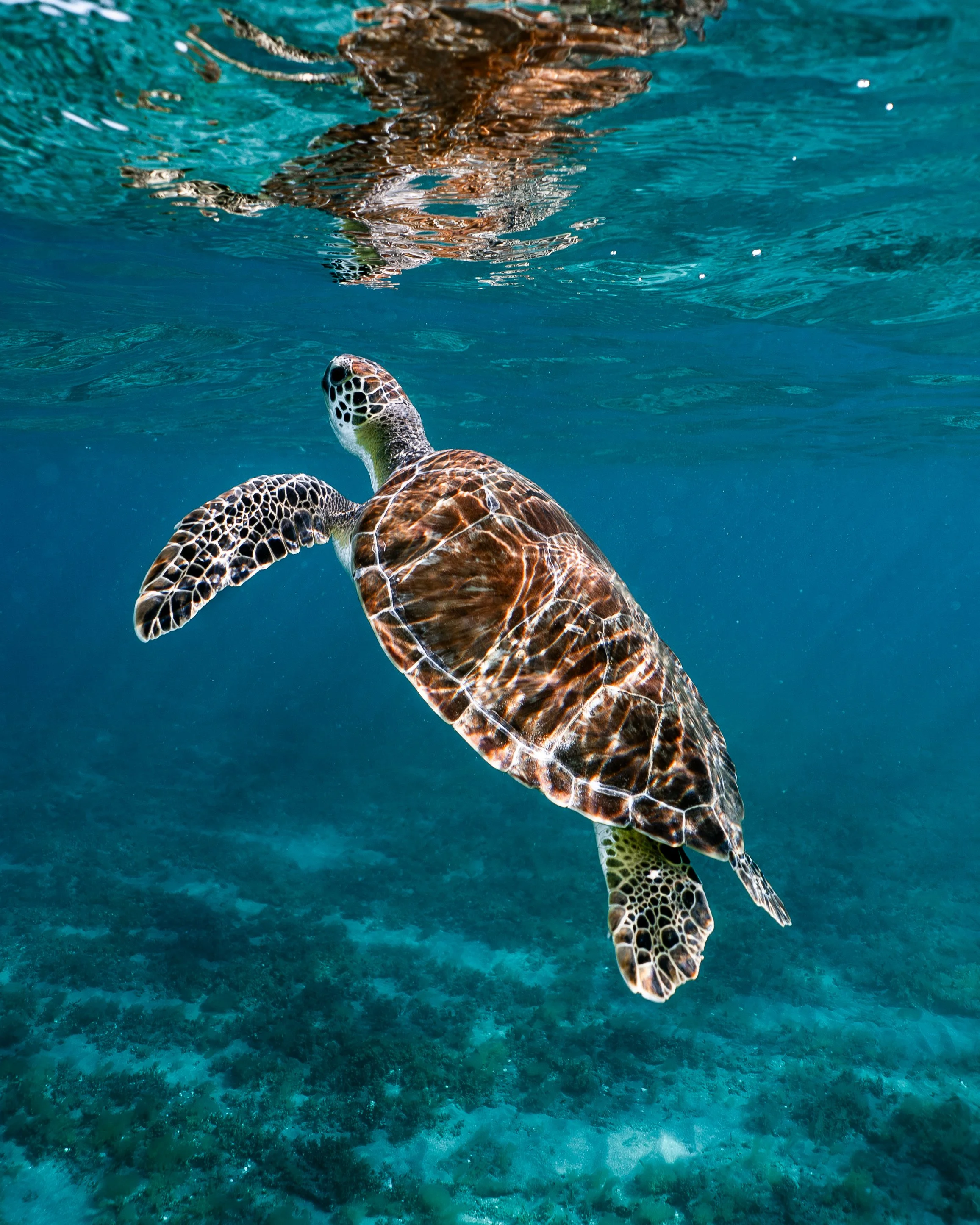 DSC03142-2.jpg