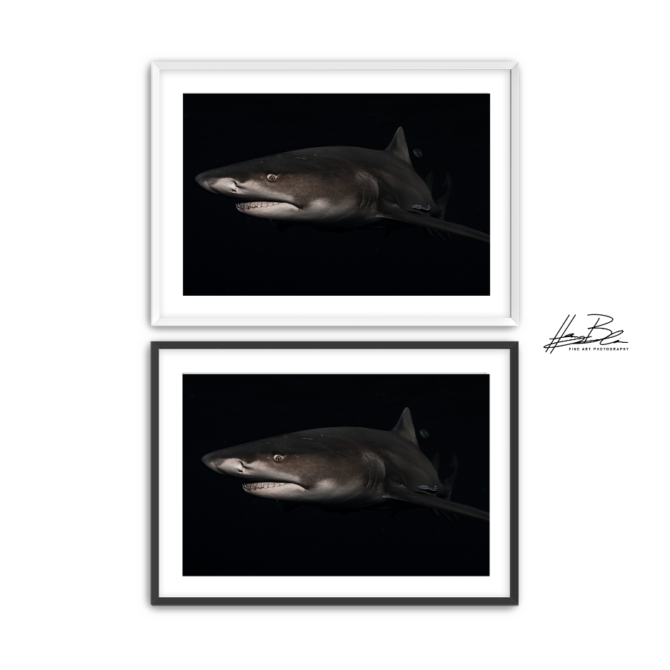 41.png