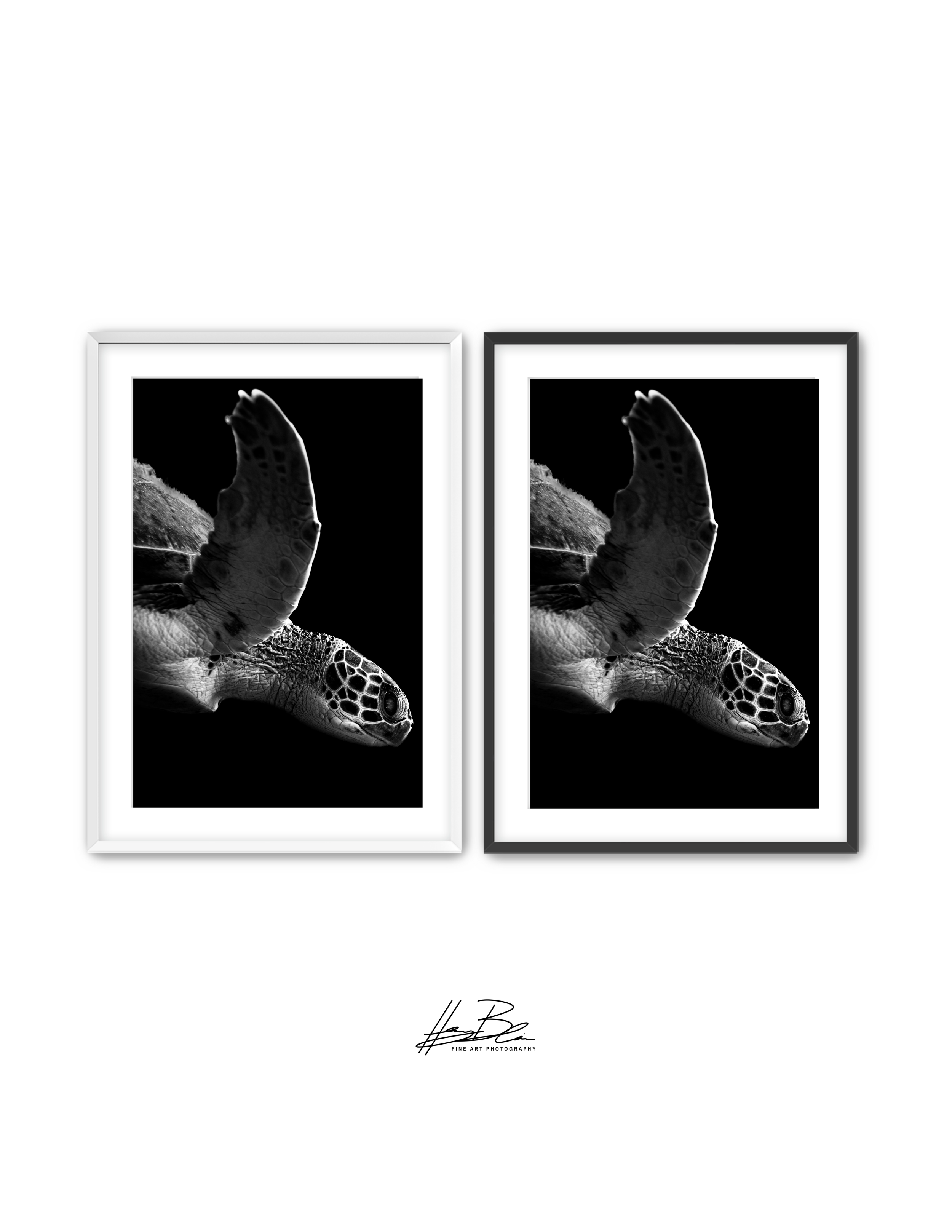 Frame Mockup Template (14).png