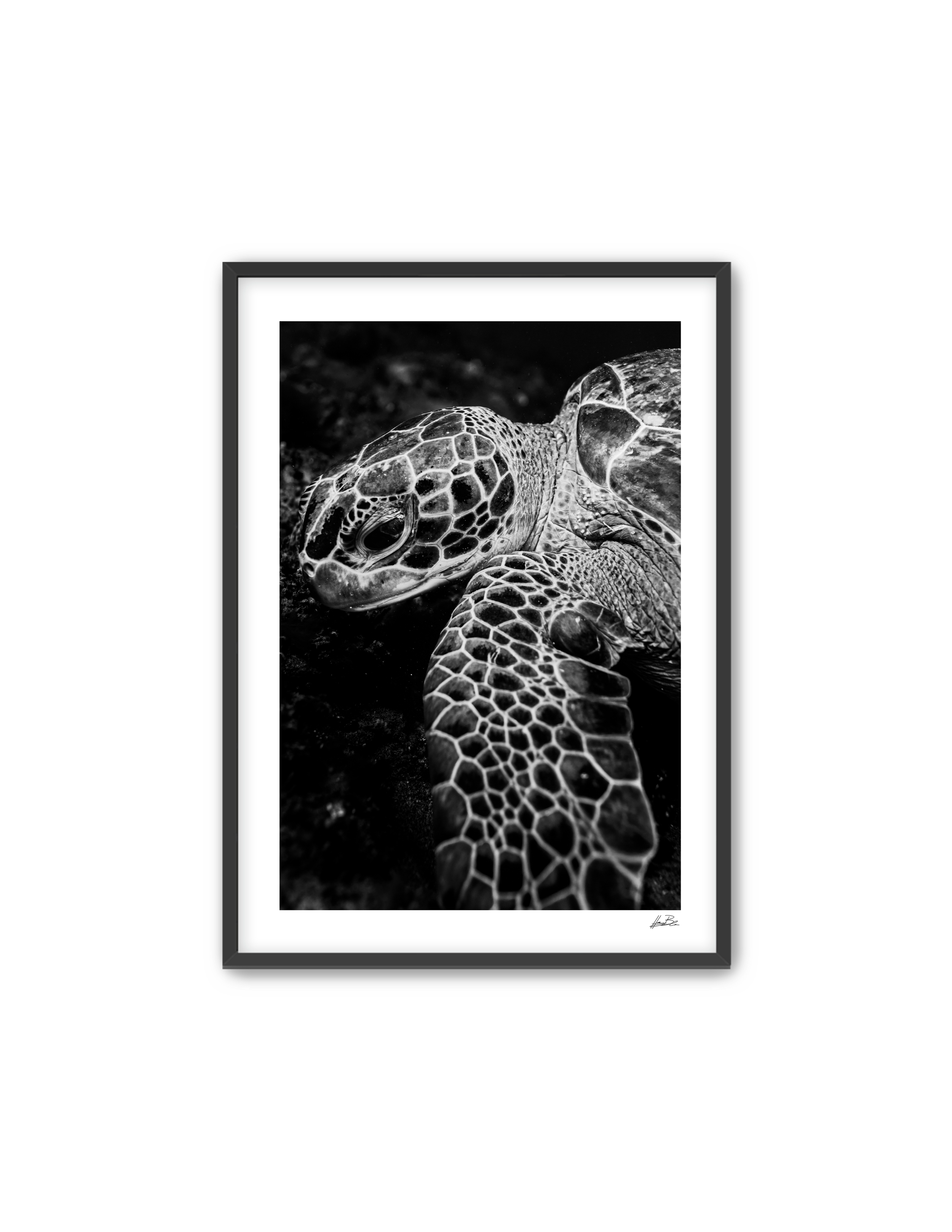 "Texture and Patterns"