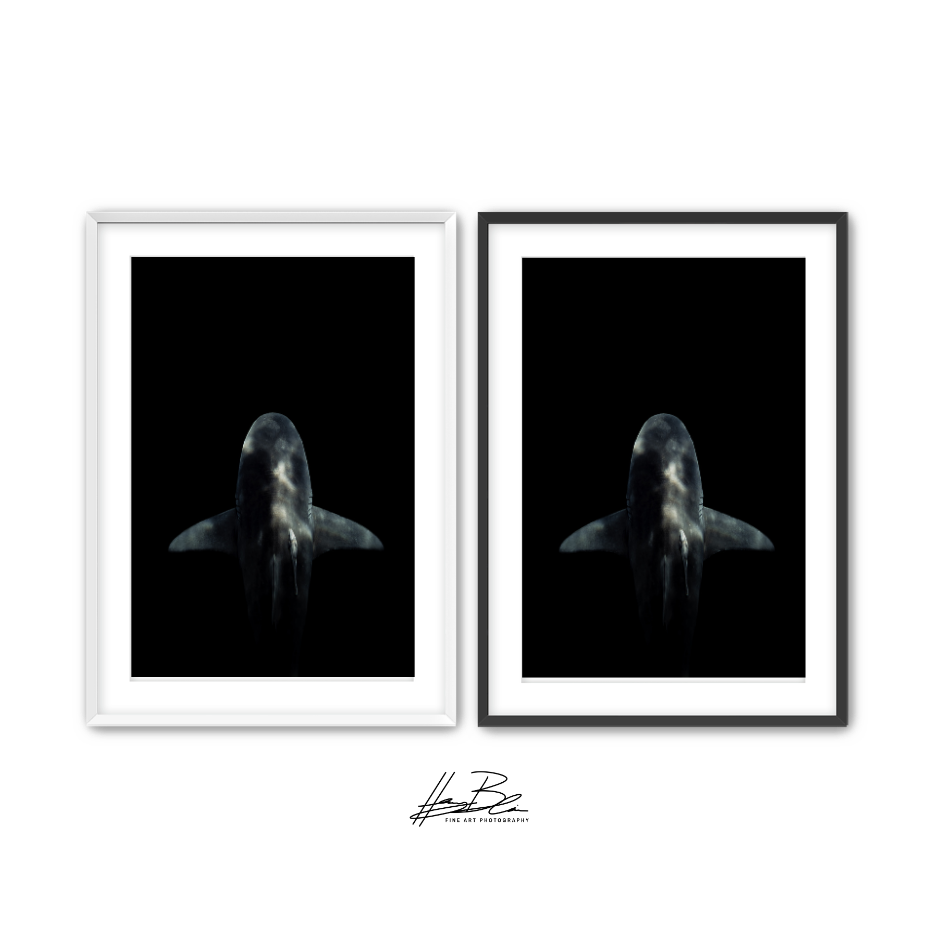 19.png