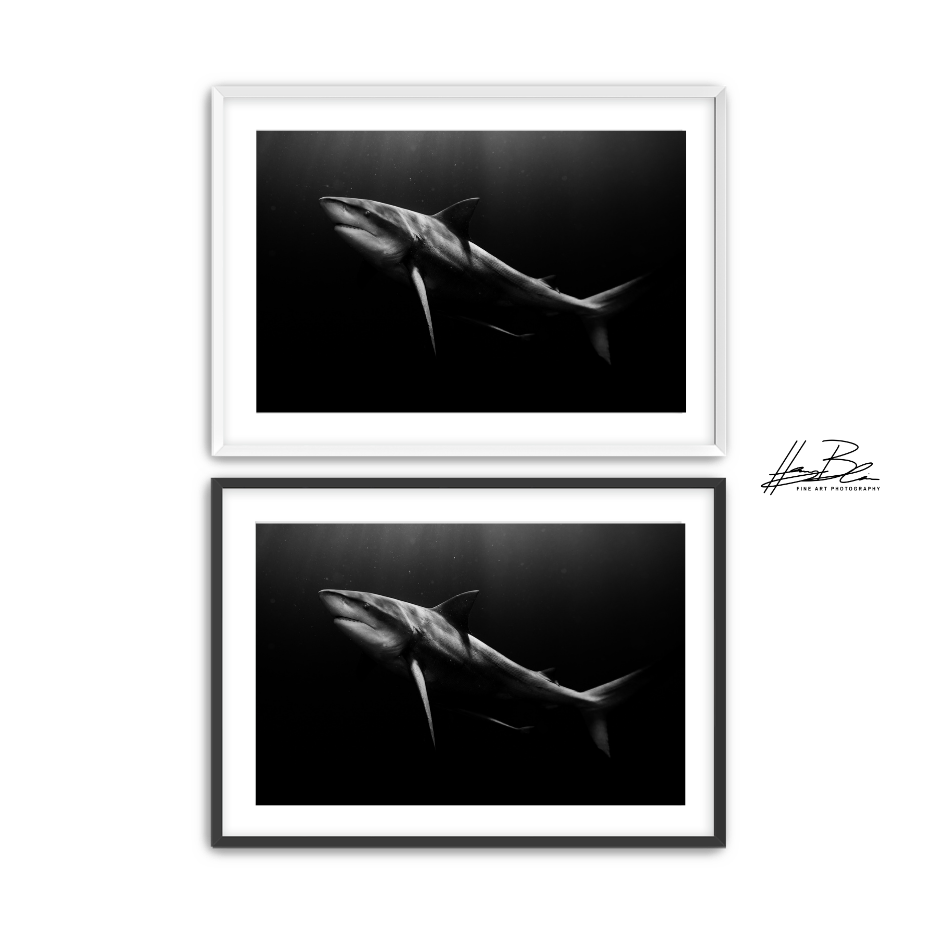 42.png
