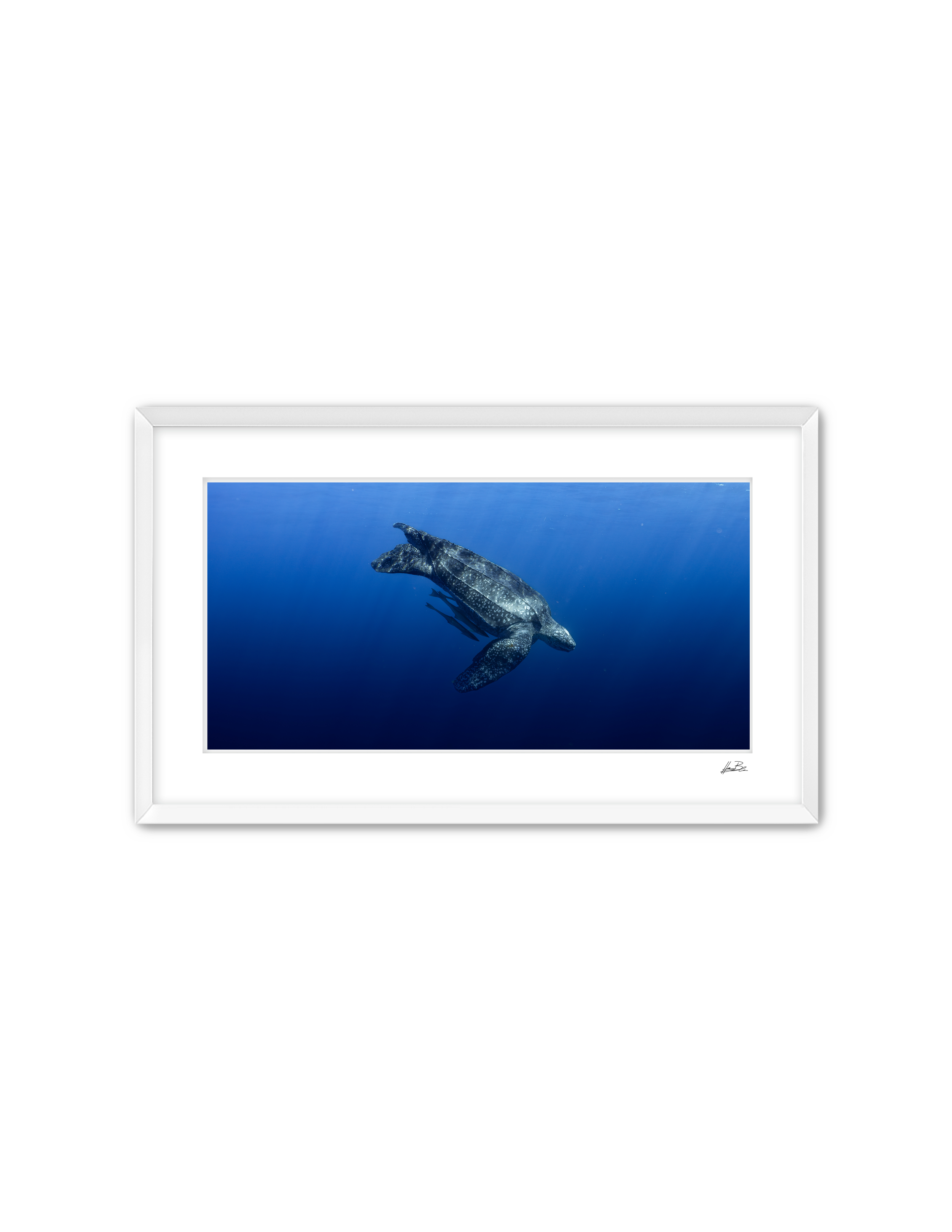 Frame Mockup Template (3).png