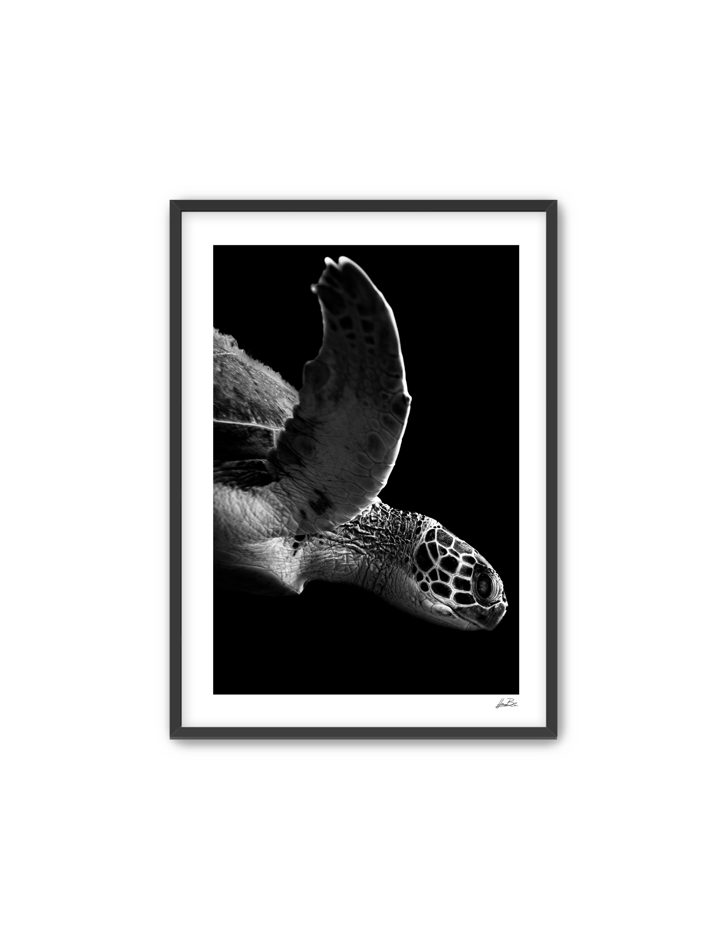 Frame Mockup Template (15).png