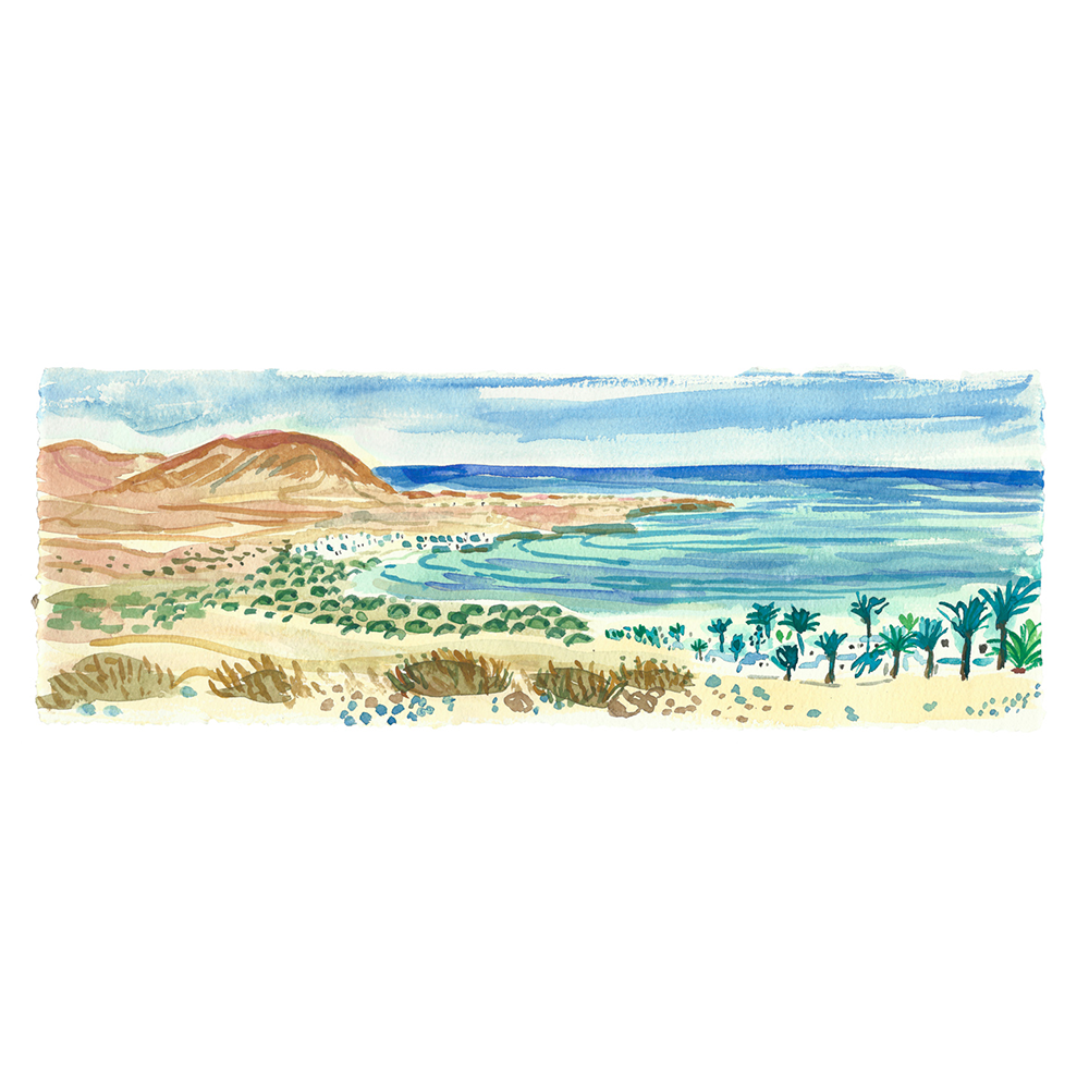 7 Mile Beach Watercolour (1).png