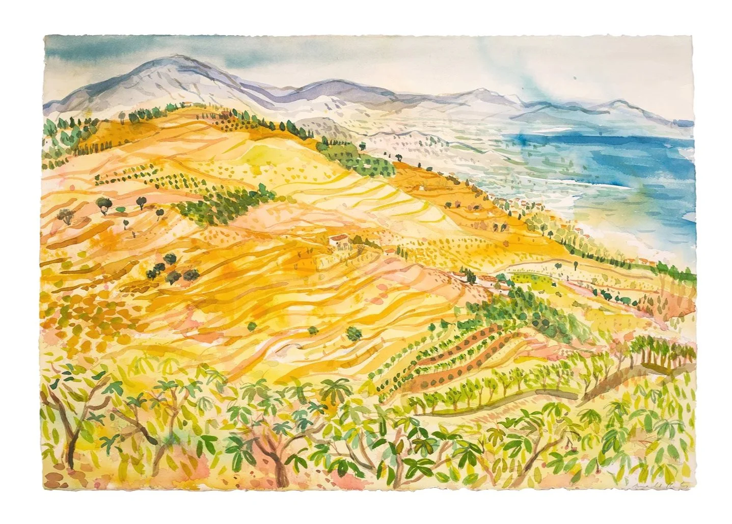 A+Field+of+Mangos.jpg