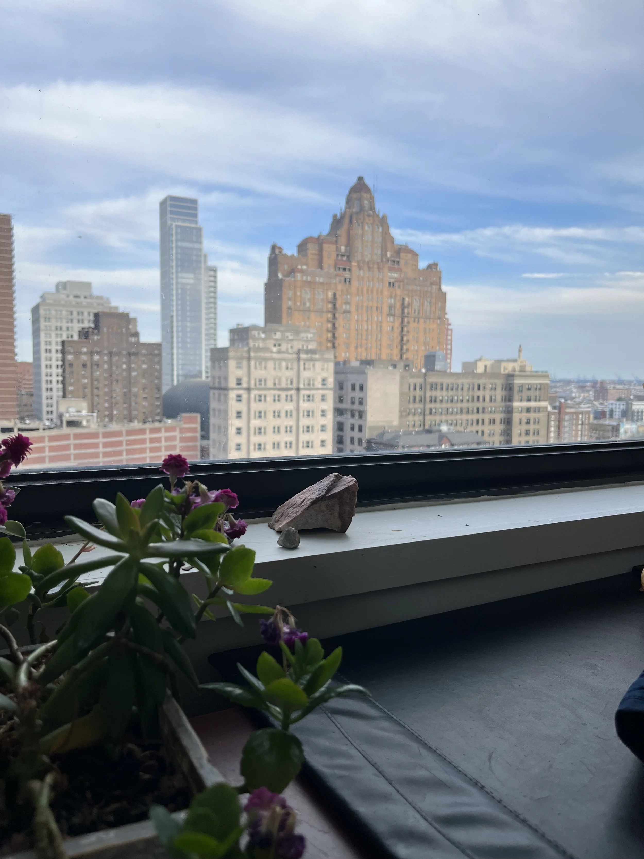 View from therapy in Philadelphia office.
