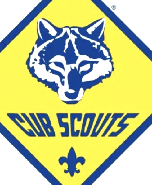 Partner_Cub Scouts.png