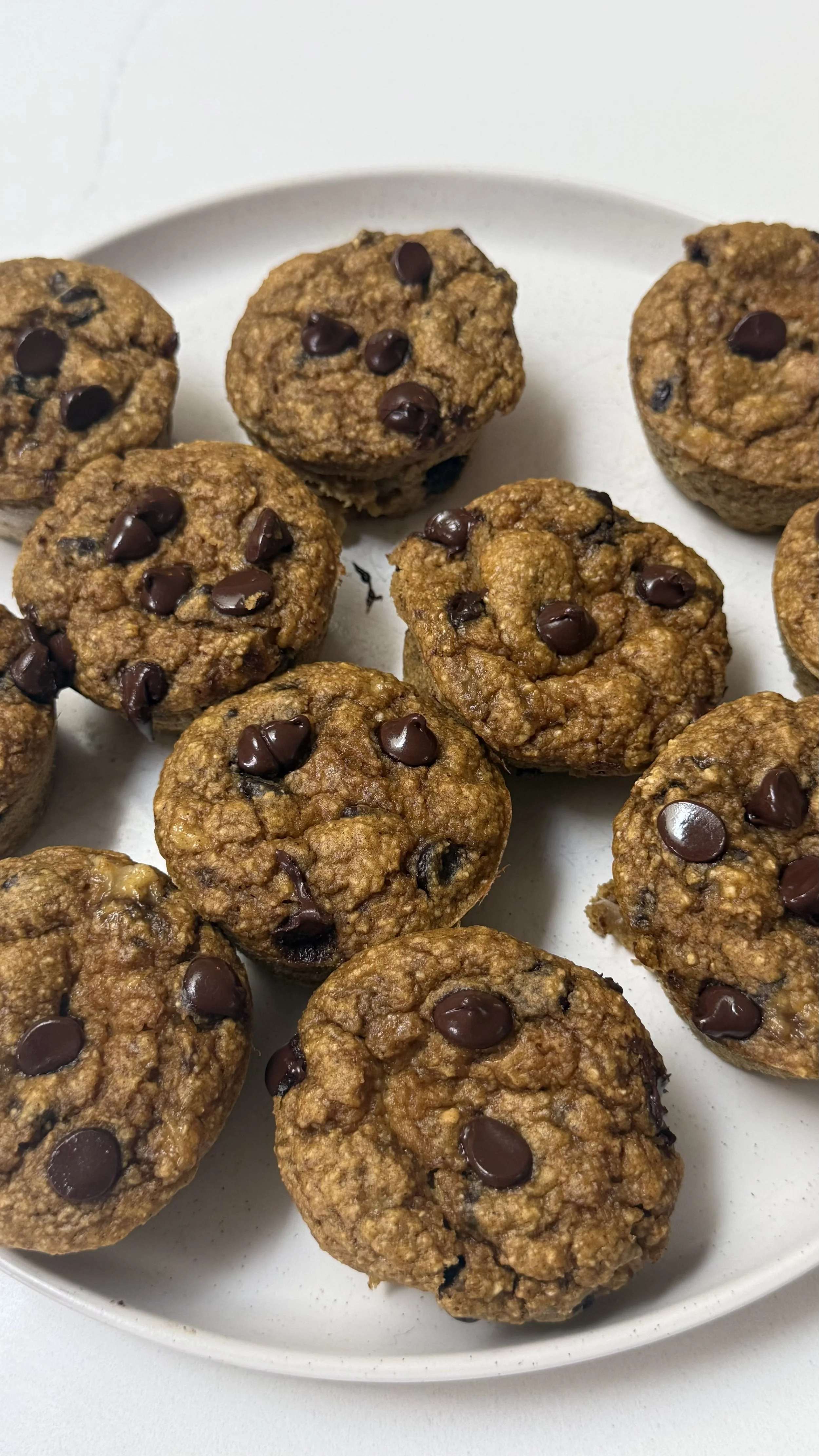 Pumpkin Chocolate Chip Protein Muffins 