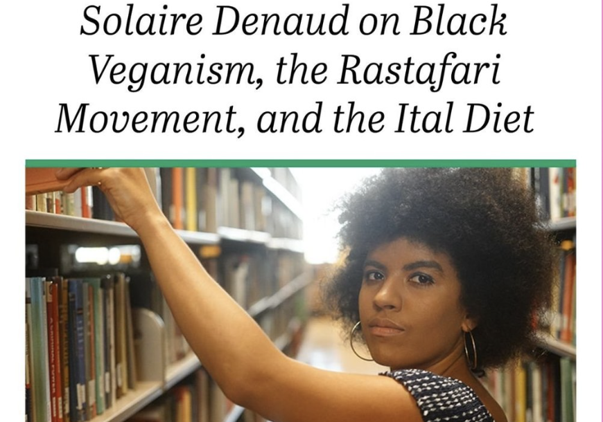 Veg Out Denaud Solaire.png