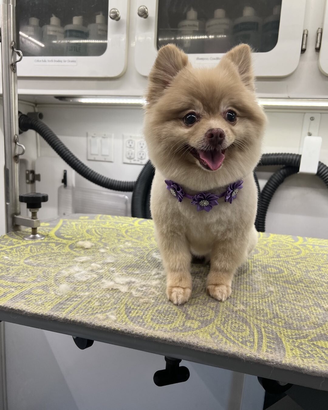 Boo it&rsquo;s Winnie!!!