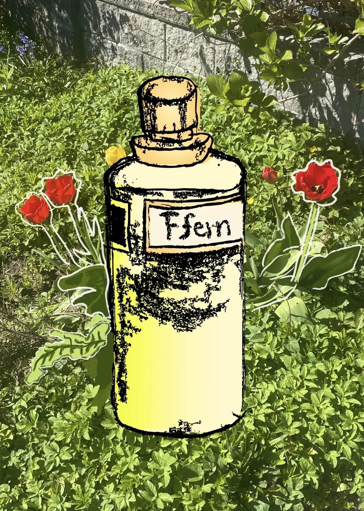 ffern.jpg