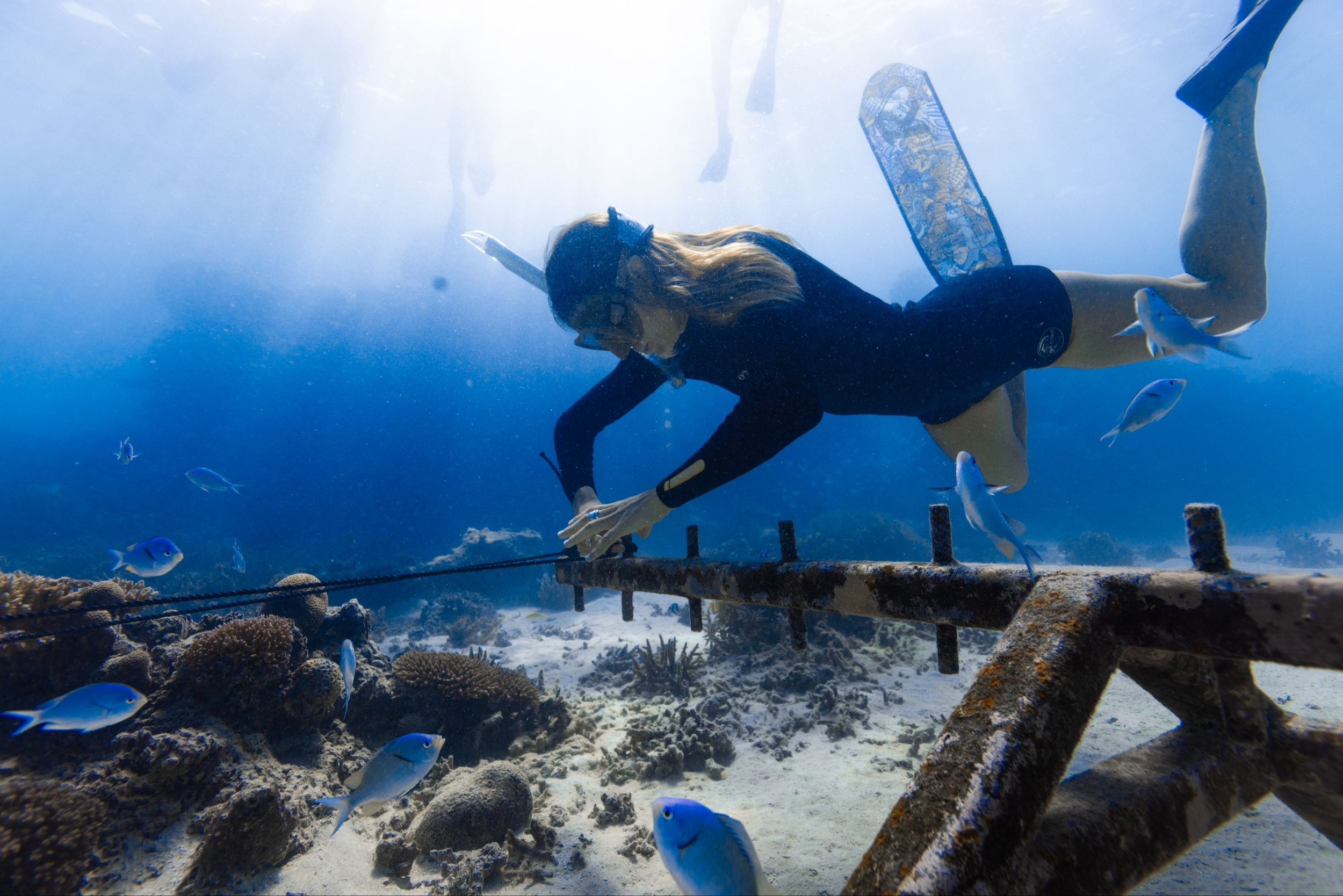 May 25, 2025 @kalani.muller IMG_0775.jpg