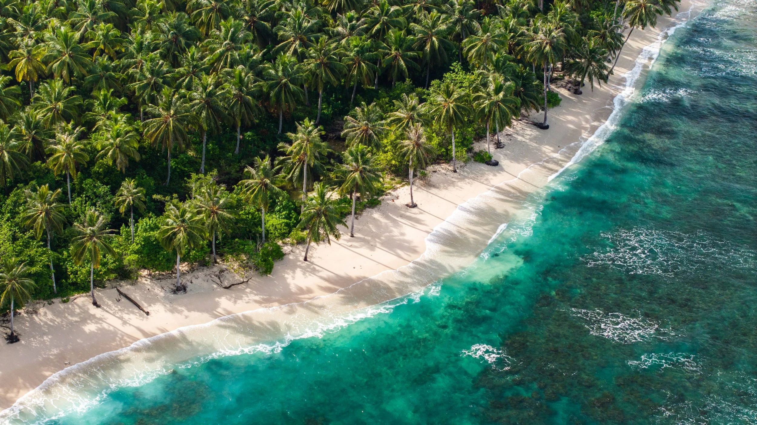 May 13, 2025 @kalani.muller DJI_20250513140023_0561_D.jpg