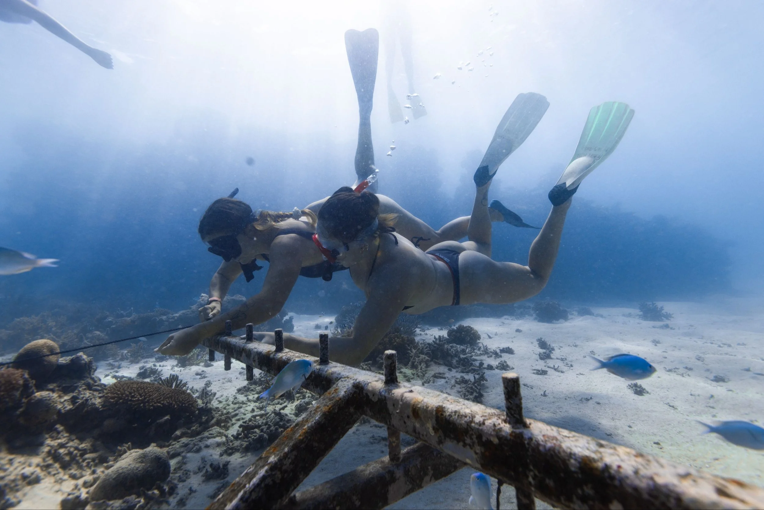 May 25, 2025 @kalani.muller IMG_0700.jpg