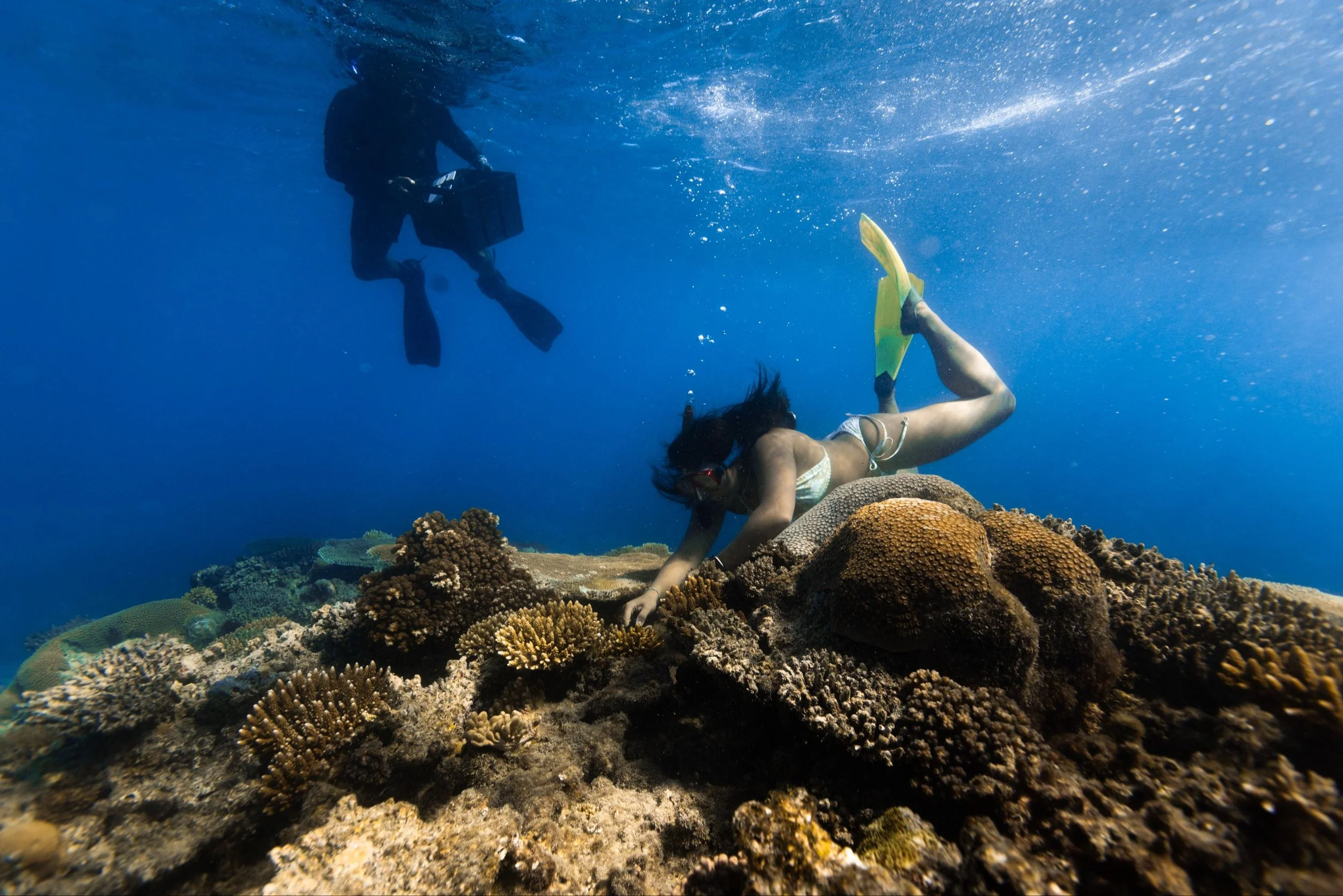 May 25, 2025 @kalani.muller IMG_0369.jpg