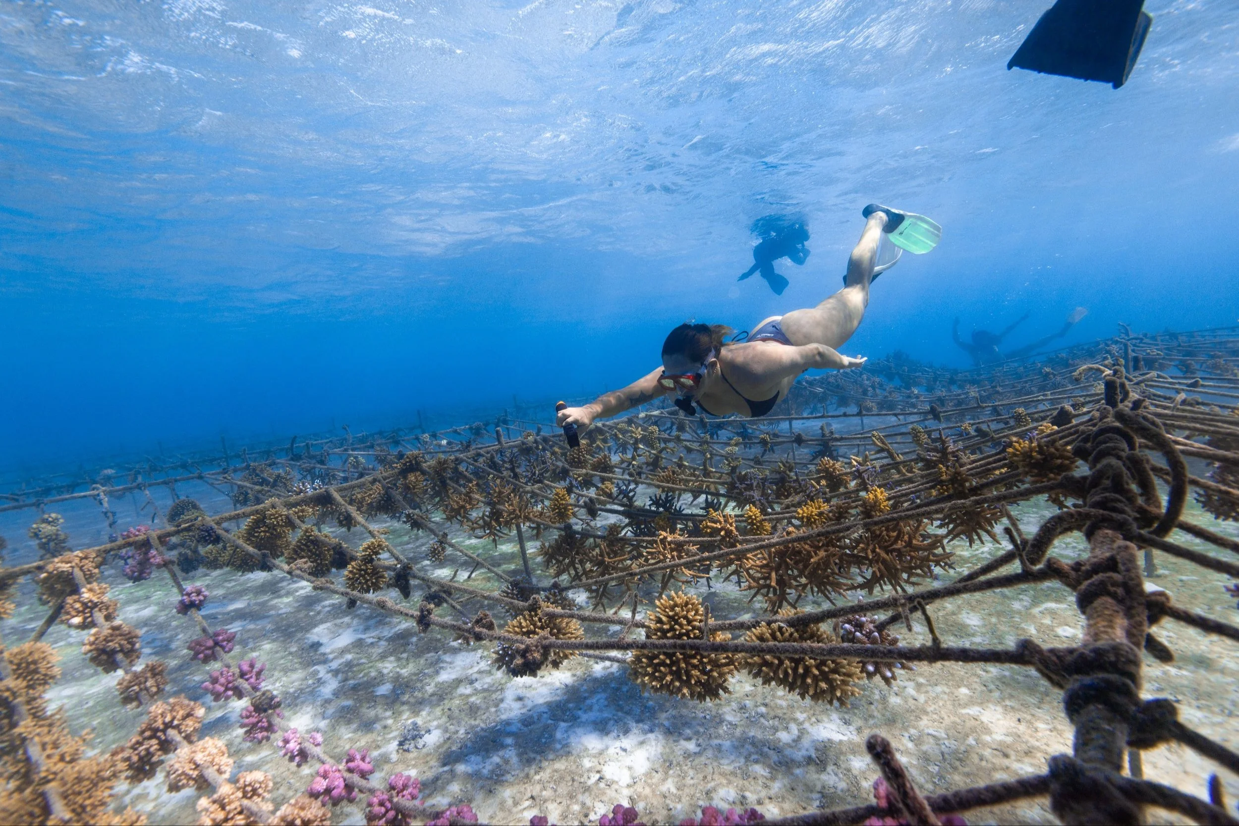 May 25, 2025 @kalani.muller IMG_1019.jpg