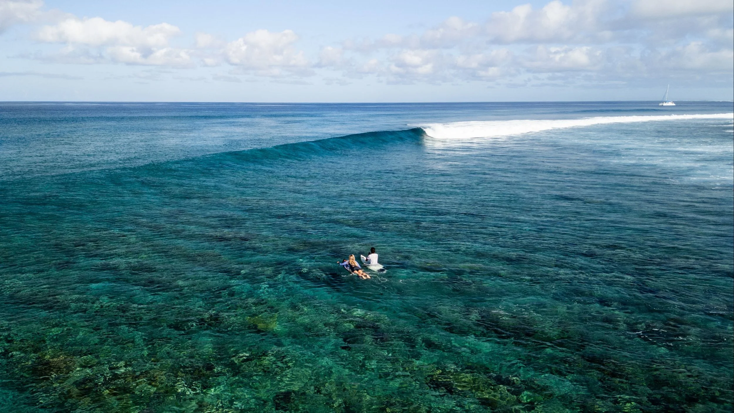 August 31, 2024 @kalani.muller DJI_0637_ (1).jpg