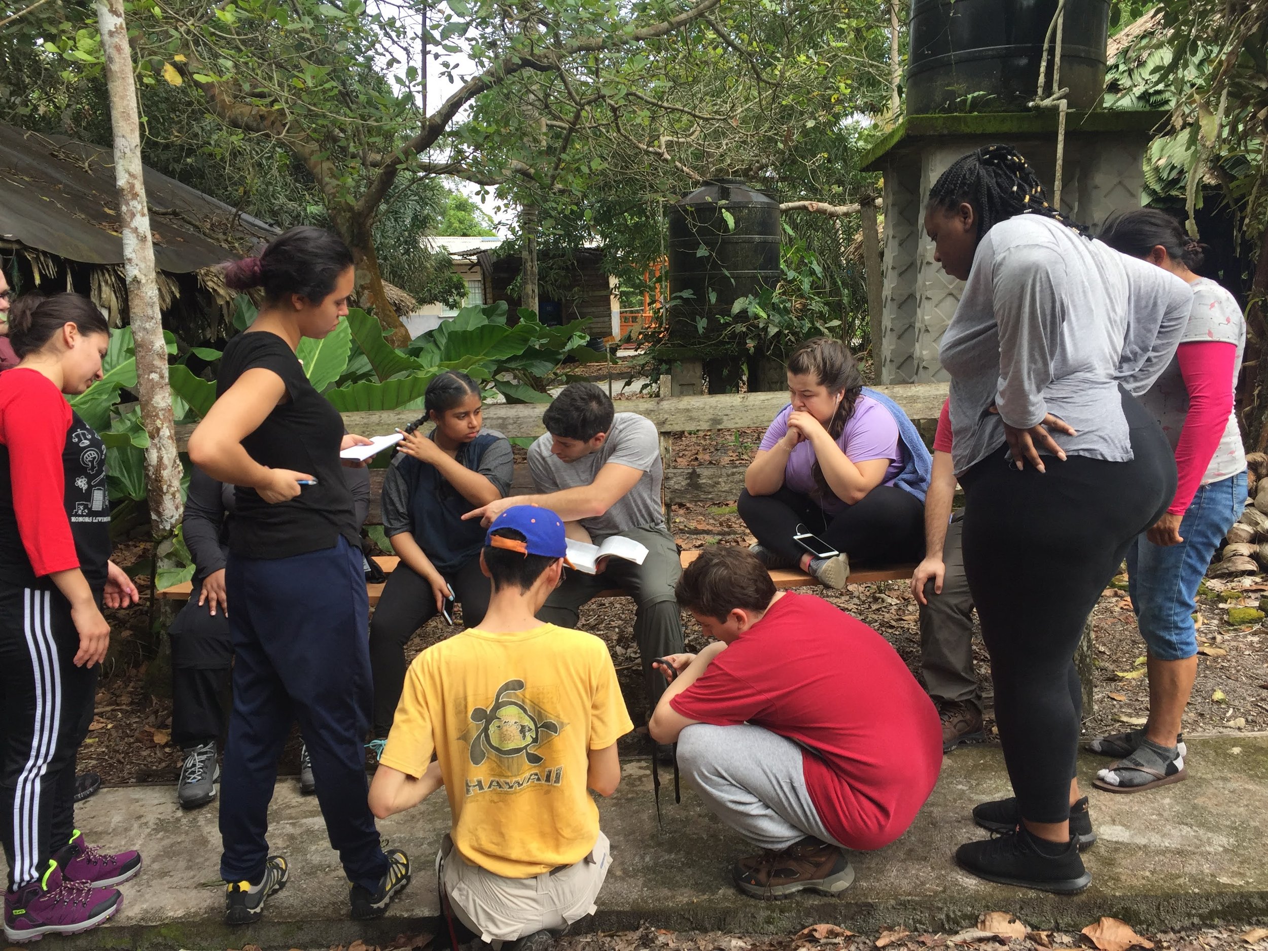 Field-based methods and taxonomic identification in Guyana. (2019)