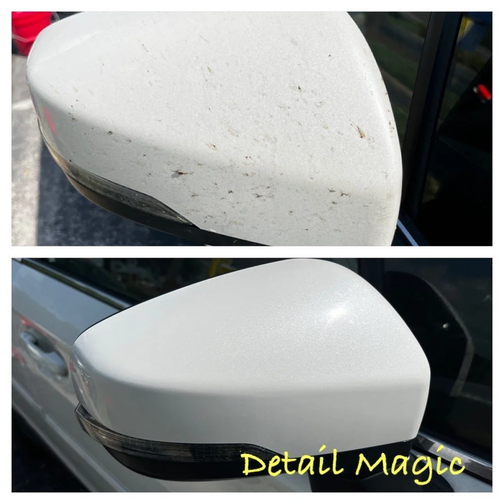 Exterior clean bug damage before and after