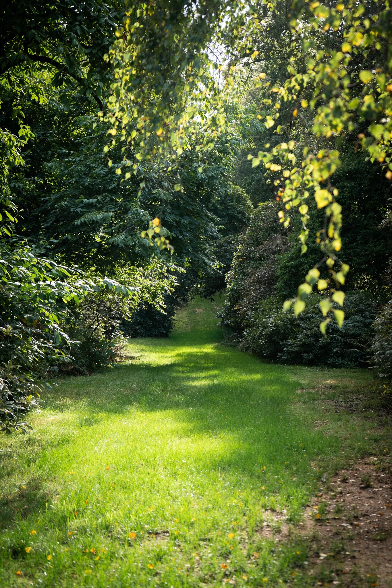 JackLockhart-Norney-Garden-Path-Edit.jpg