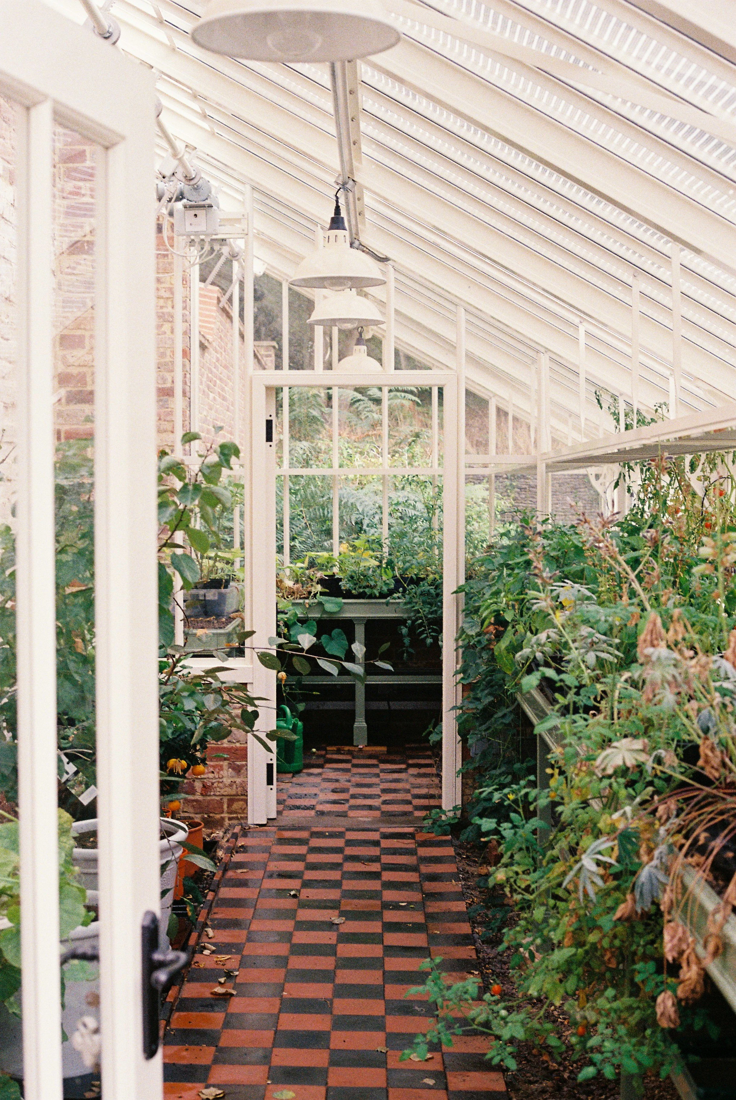 JackLockhart-Norney-35-Glasshouse.jpg
