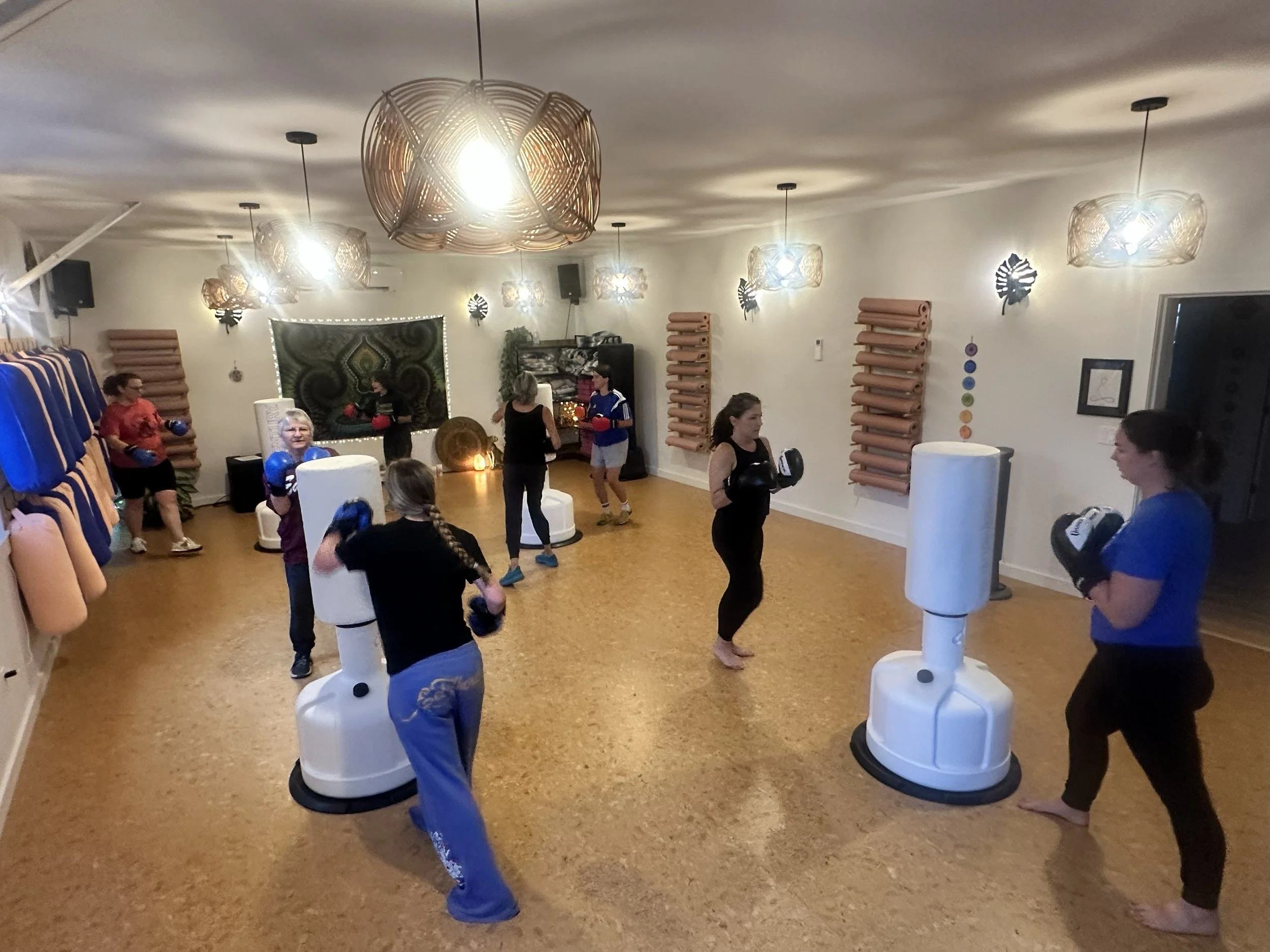 Kickboxing Series