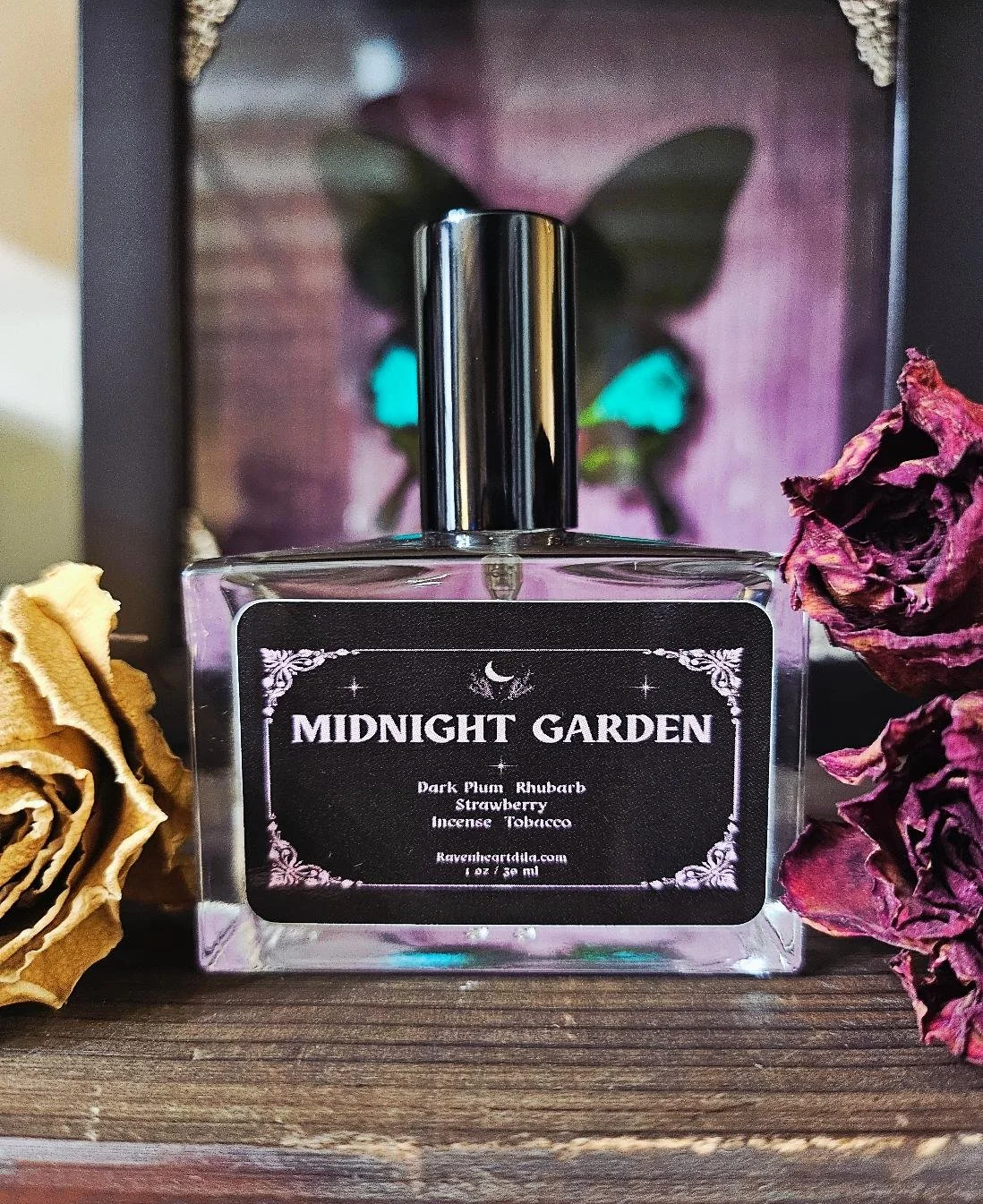 midnight garden website 1.jpg