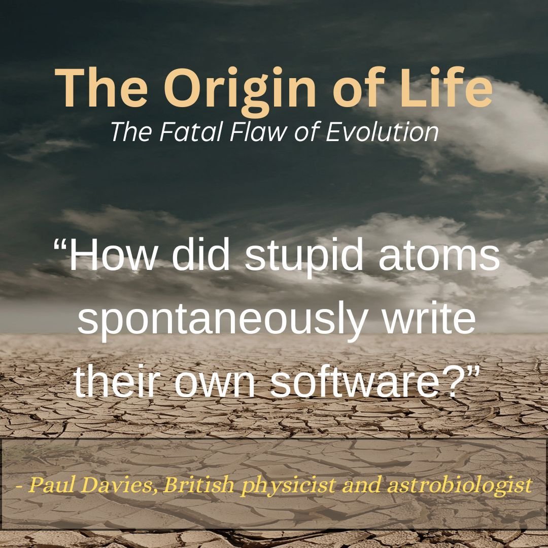 Good question, eh?
This is one of those questions that no atheist can answer. Because according to everything we know about reality... every scientific, logical, rational understanding we've ever acquired...complex, specified information cannot come 
