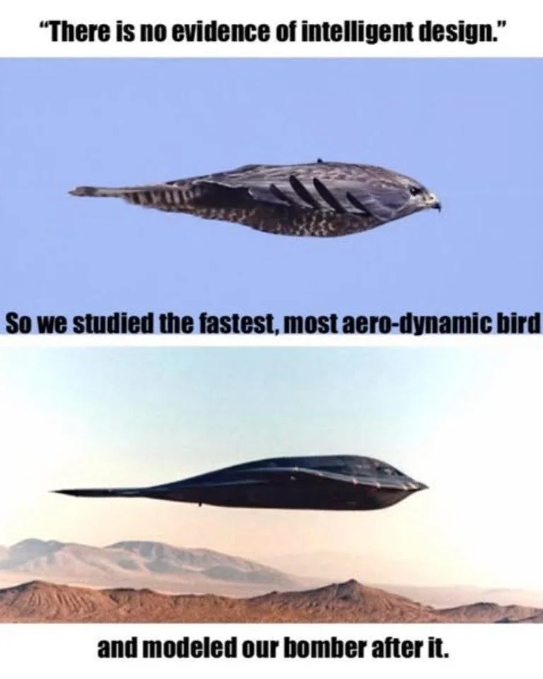 Ever notice how scientists have long studied nature to get inspiration for our designs? But they still insist nature just somehow happened by random accident? 😂
If you're already, I recommend following @discoverycsc for more on Intelligent Design.
#