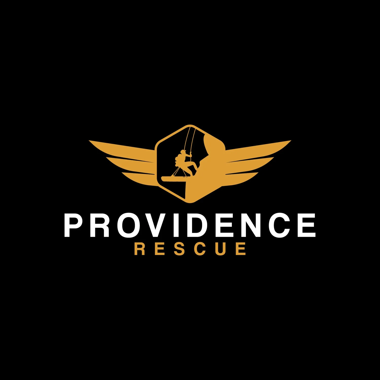Providence Rescue LLC