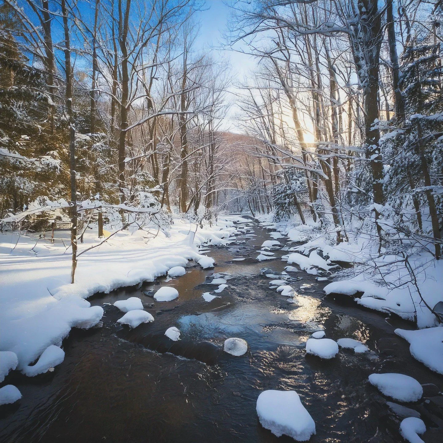 &quot;You have power over your mind &ndash; not outside events. Realize this, and you will find strength.&quot;
&ndash; Marcus Aurelius