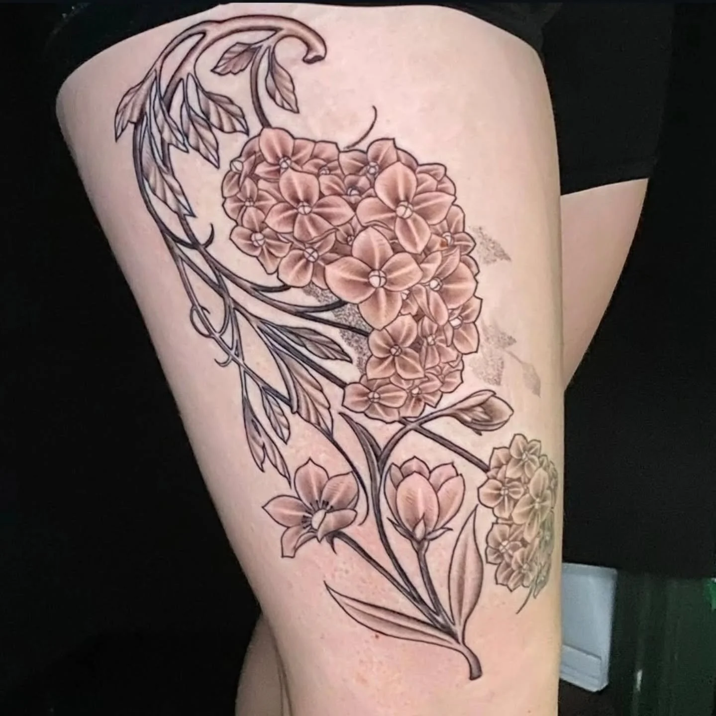 Tattoo by @noah.b.tattoo 
#floraltattoos #thightattoo #olympiatattoo #olympia