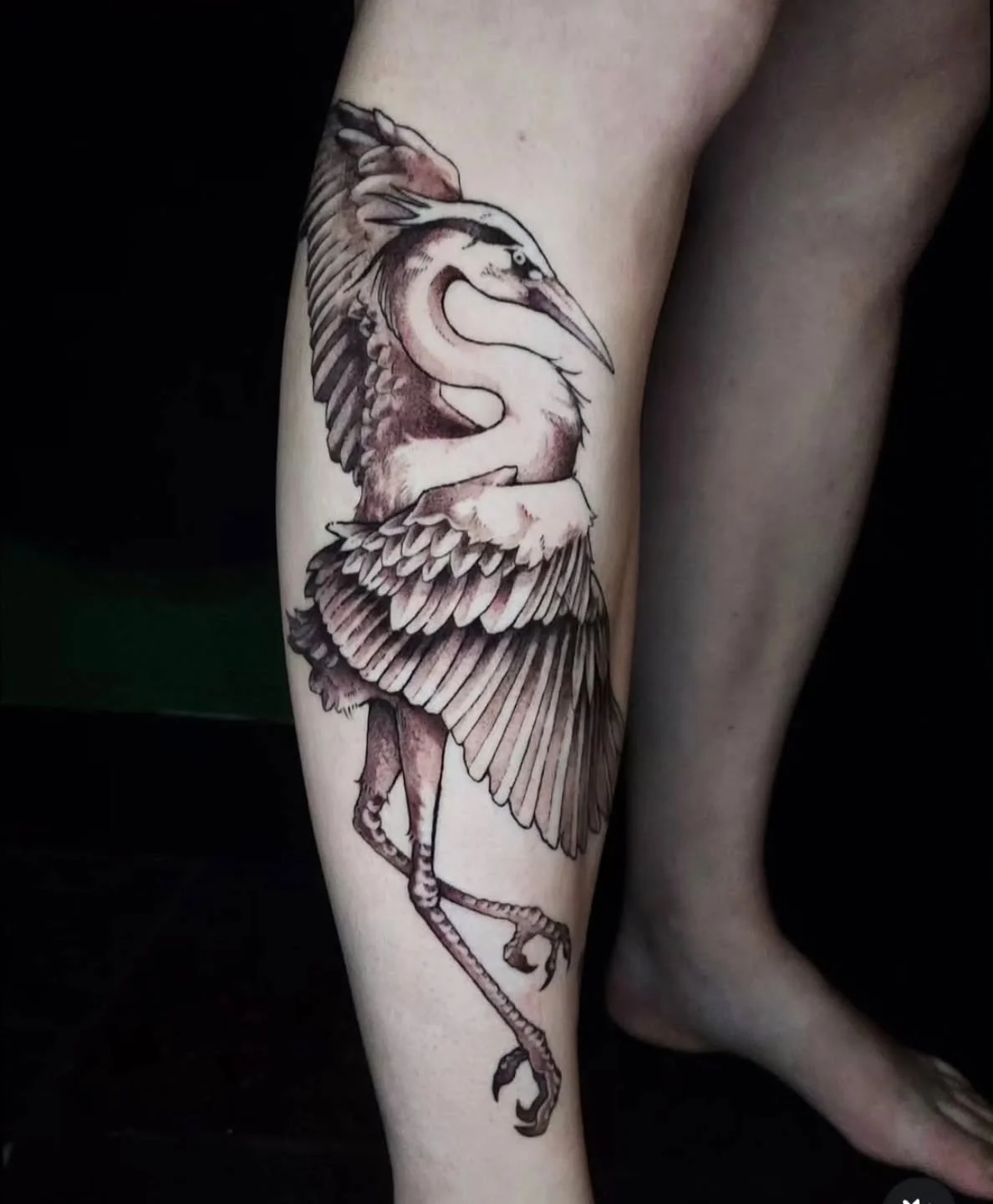Tattoo by @vincentlitattoos
#birdtattoo #herontattoo #fineline