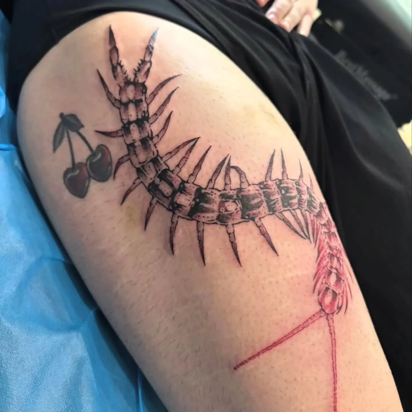 Tattoo by @booker_teeth_tattoo 

#olympiawa #olympiatattoo #blackandredtattoo #bugtattoo #centipedetattoo