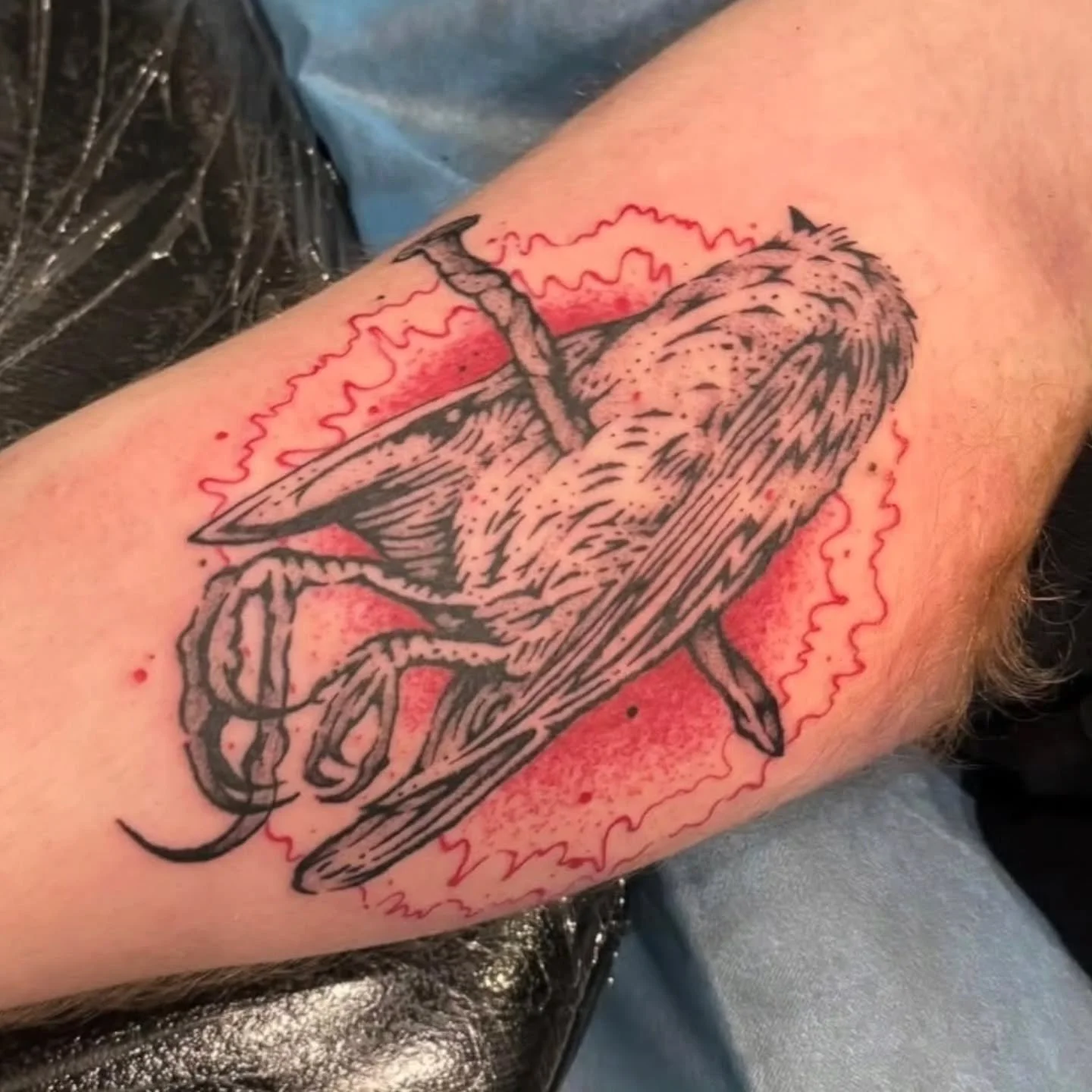Tattoo by @booker_teeth_tattoo 

#birdtattoo #olympiatattoo #blackandredtattoo #olympiawa