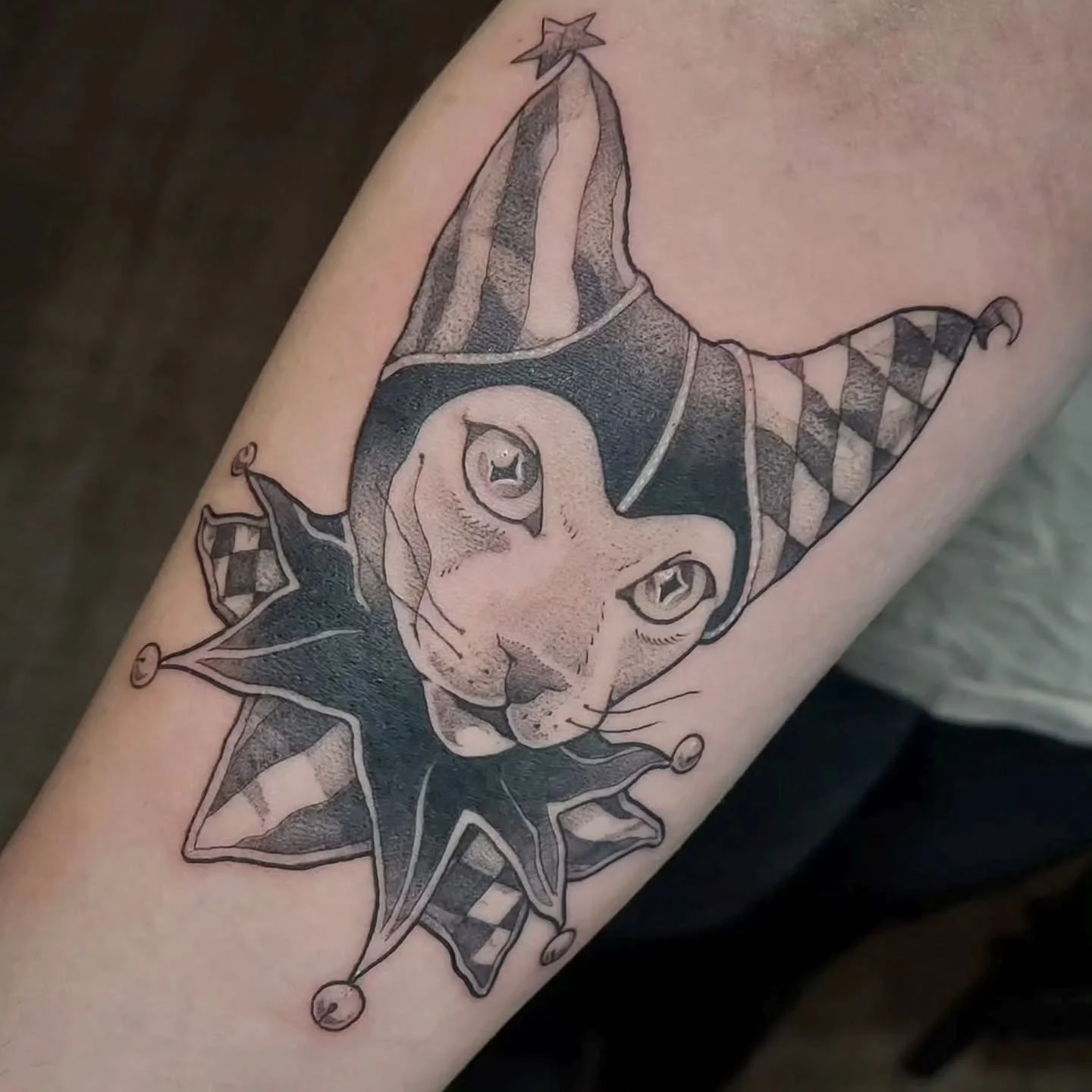 Tattoos by @vincentlitattoos 

#cattattoos #owltattoo #blackworktattoo #olympiatattoo #olympiawa