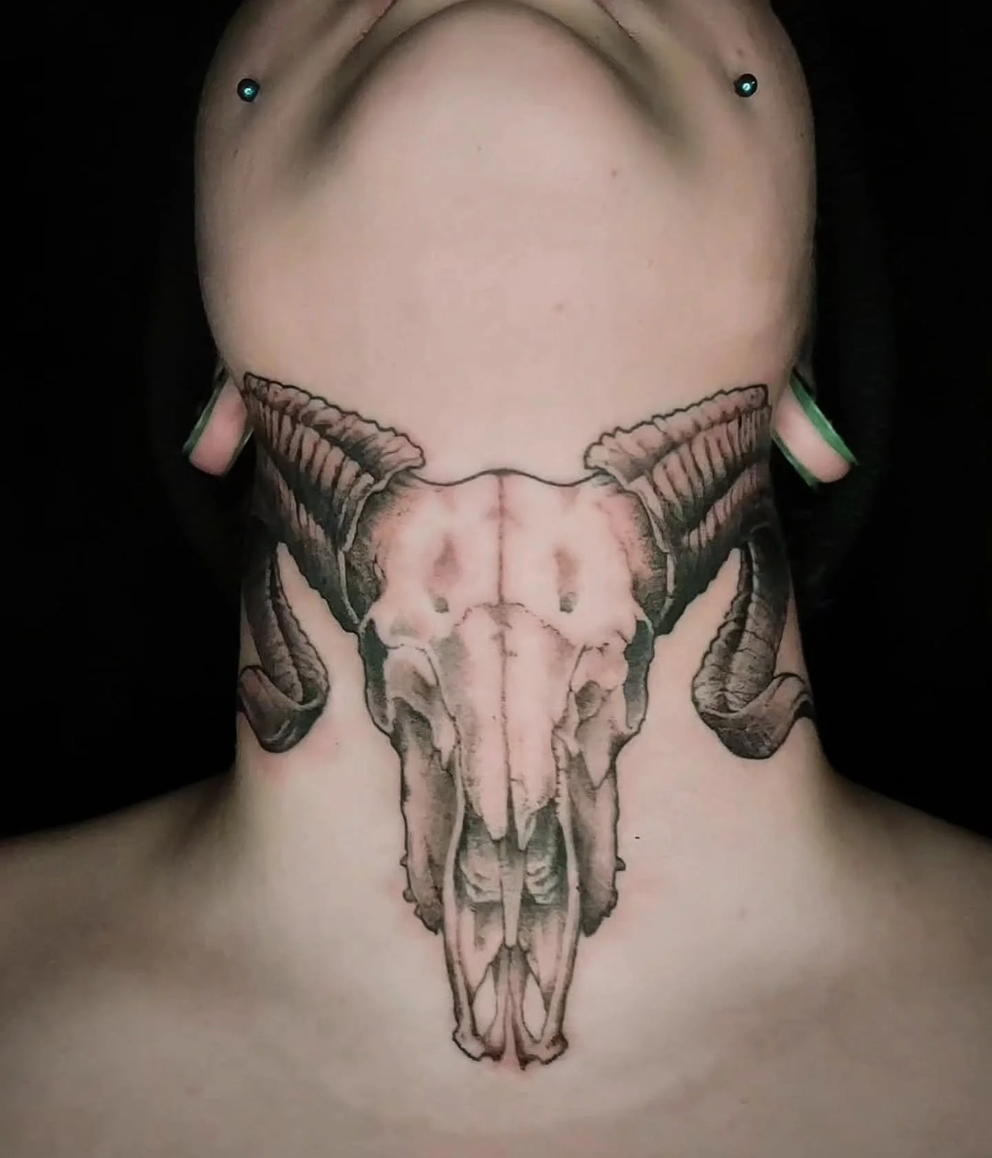 Tattoo by @vincentlitattoos 

#throattattoo #ramskull #olympiatattoo #olympiawa #finelinetattoo