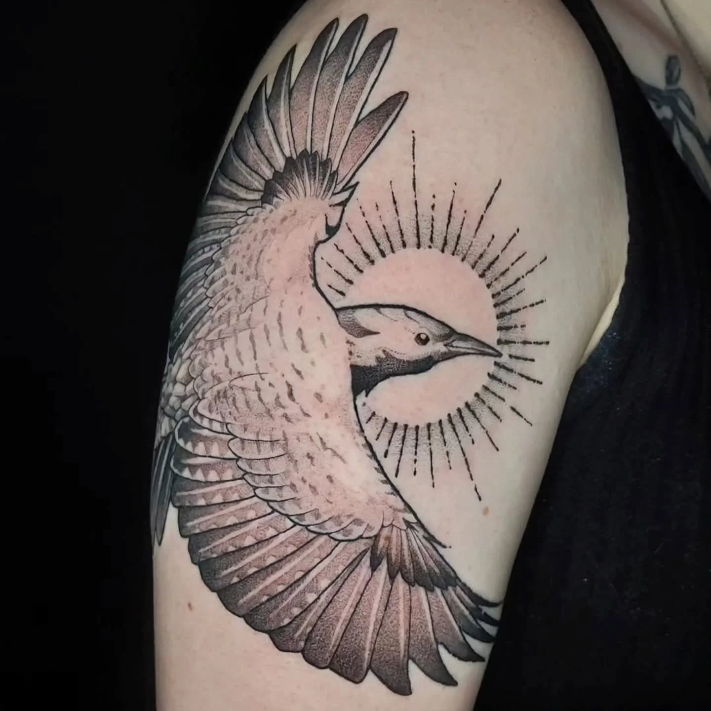 Tattoo by @vincentlitattoos 

#birdtattoo #olympiatattoo #finelinetattoo #olympiawa #blackandgreytattoo
