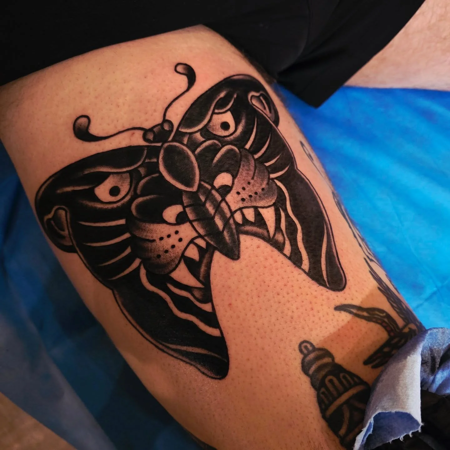 Tattoo by @a.pecantattoo 

#panthertattoo #butterfly #olympiatattoo #olympiawa #tradtattoo