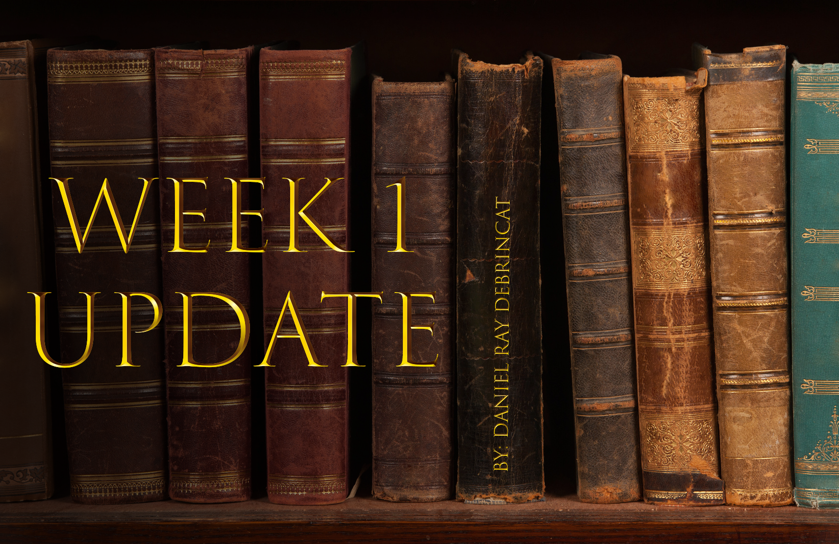 Book: Week 1 Update