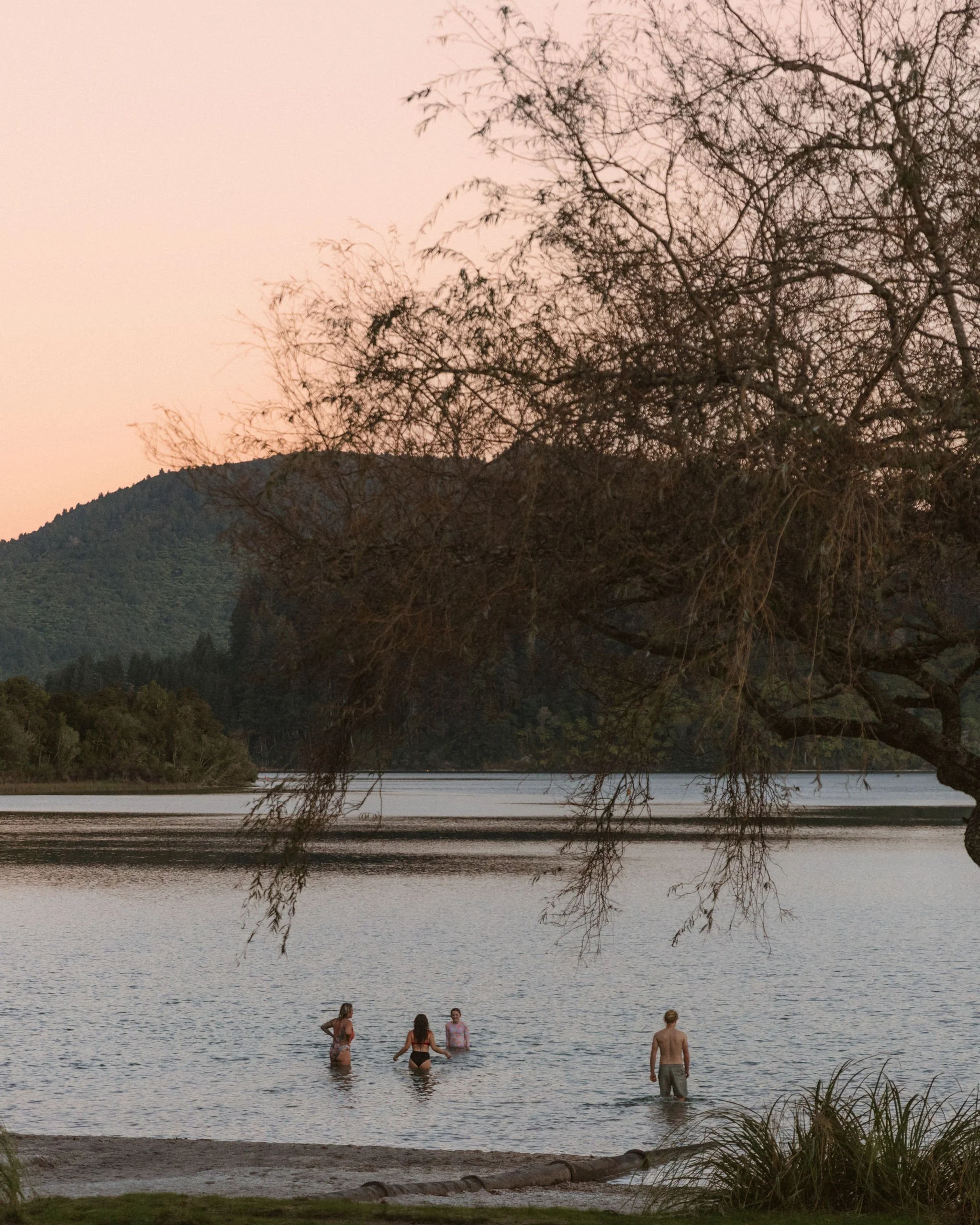 Nature Heals: The Sauna Project x Te Whare TapaWhā