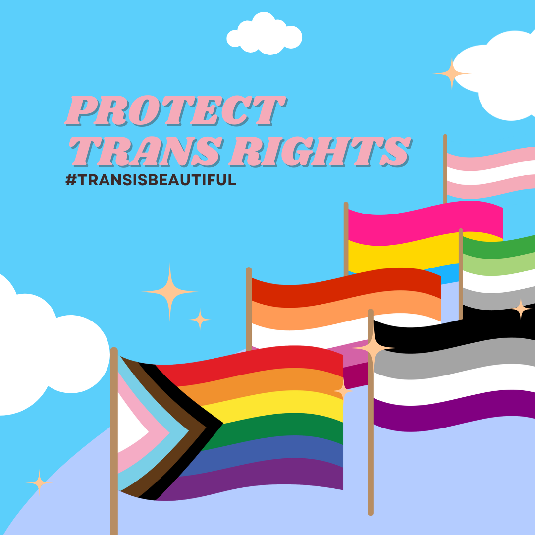 smash the patriarchy & protect trans rights..png