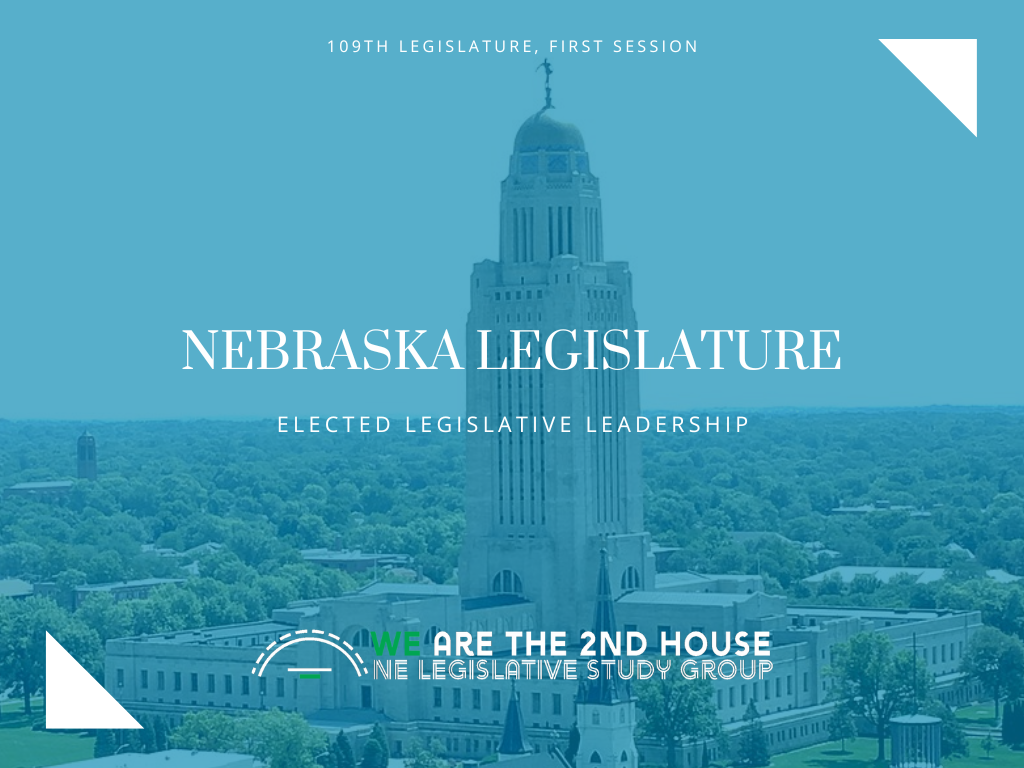 NELSG Legislative Leadership Presentation (linked).png