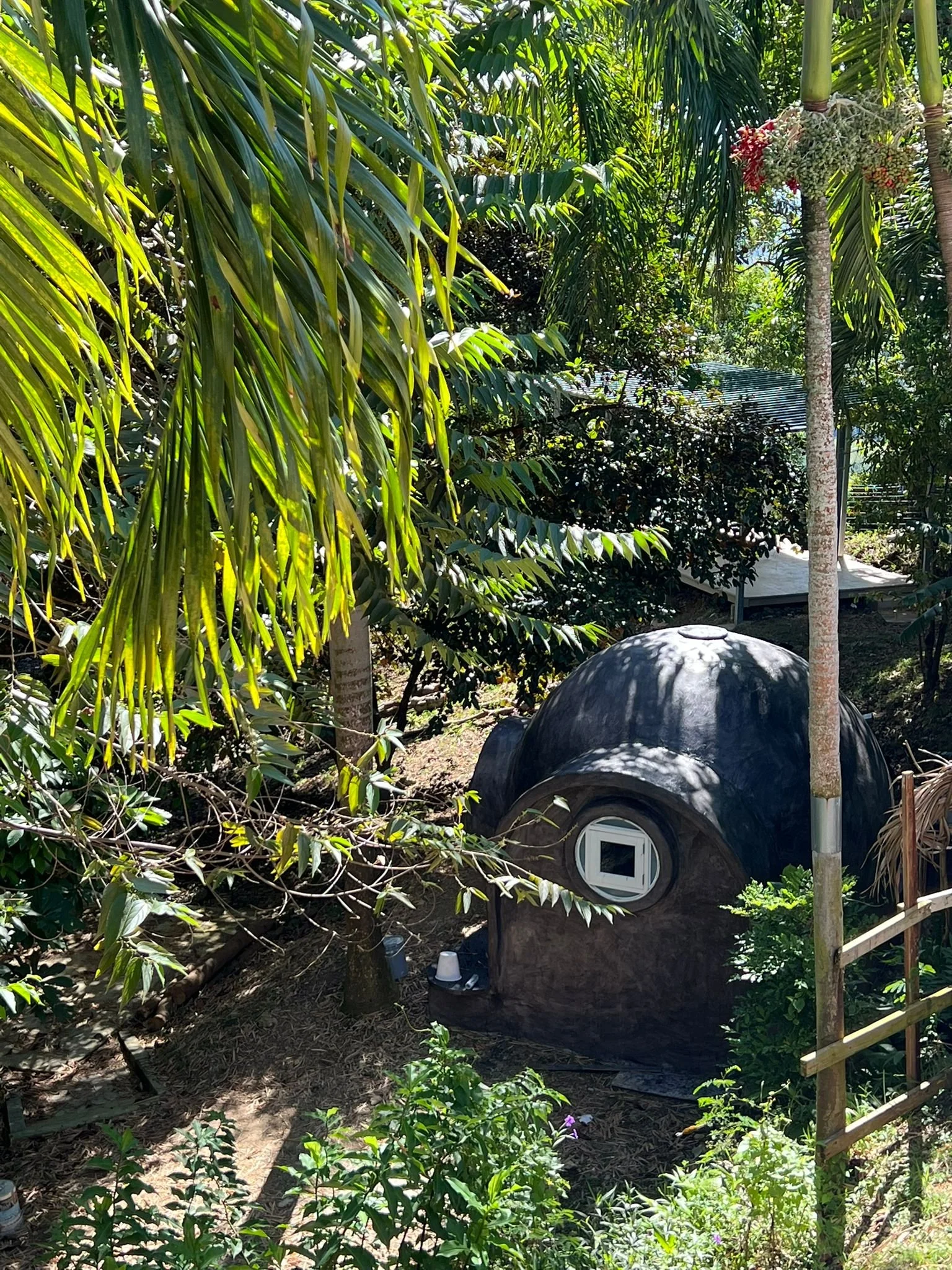 WhatsApp Image 2025-11-22 at 05.28.46_eab3b5a0.jpg