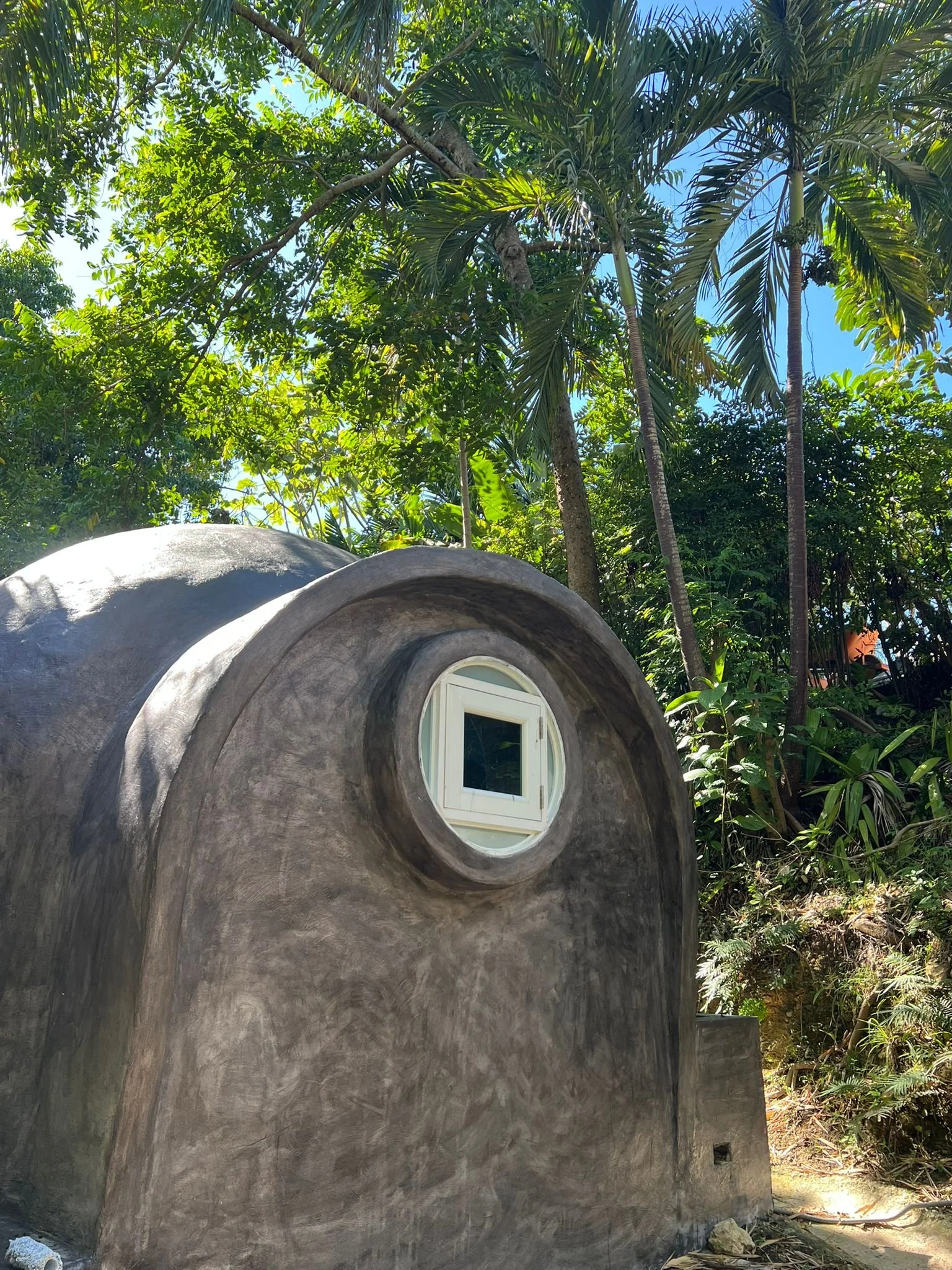 WhatsApp Image 2025-11-22 at 05.28.48_885b9b43.jpg