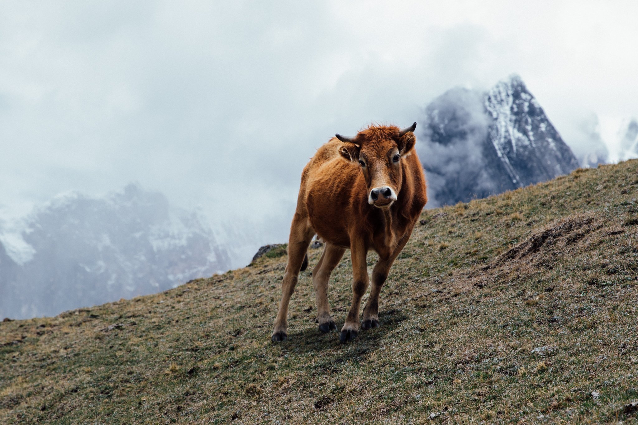 huaraz_peru_2048x_viljamivaisanen.com-7000.jpg