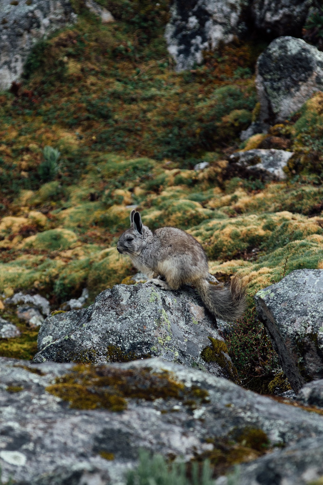 huaraz_peru_2048x_viljamivaisanen.com-7092.jpg